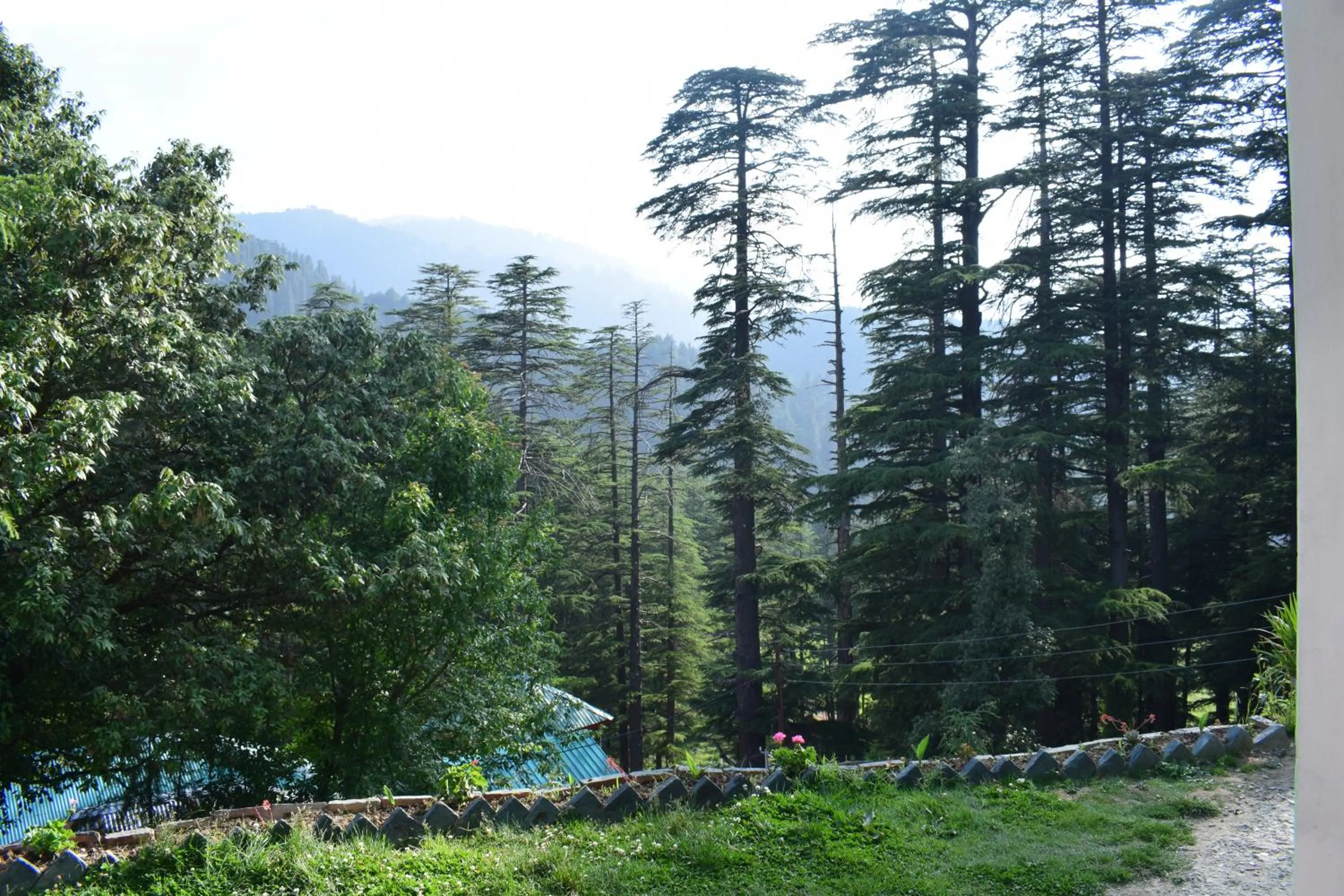 Garden in Green valley homestay