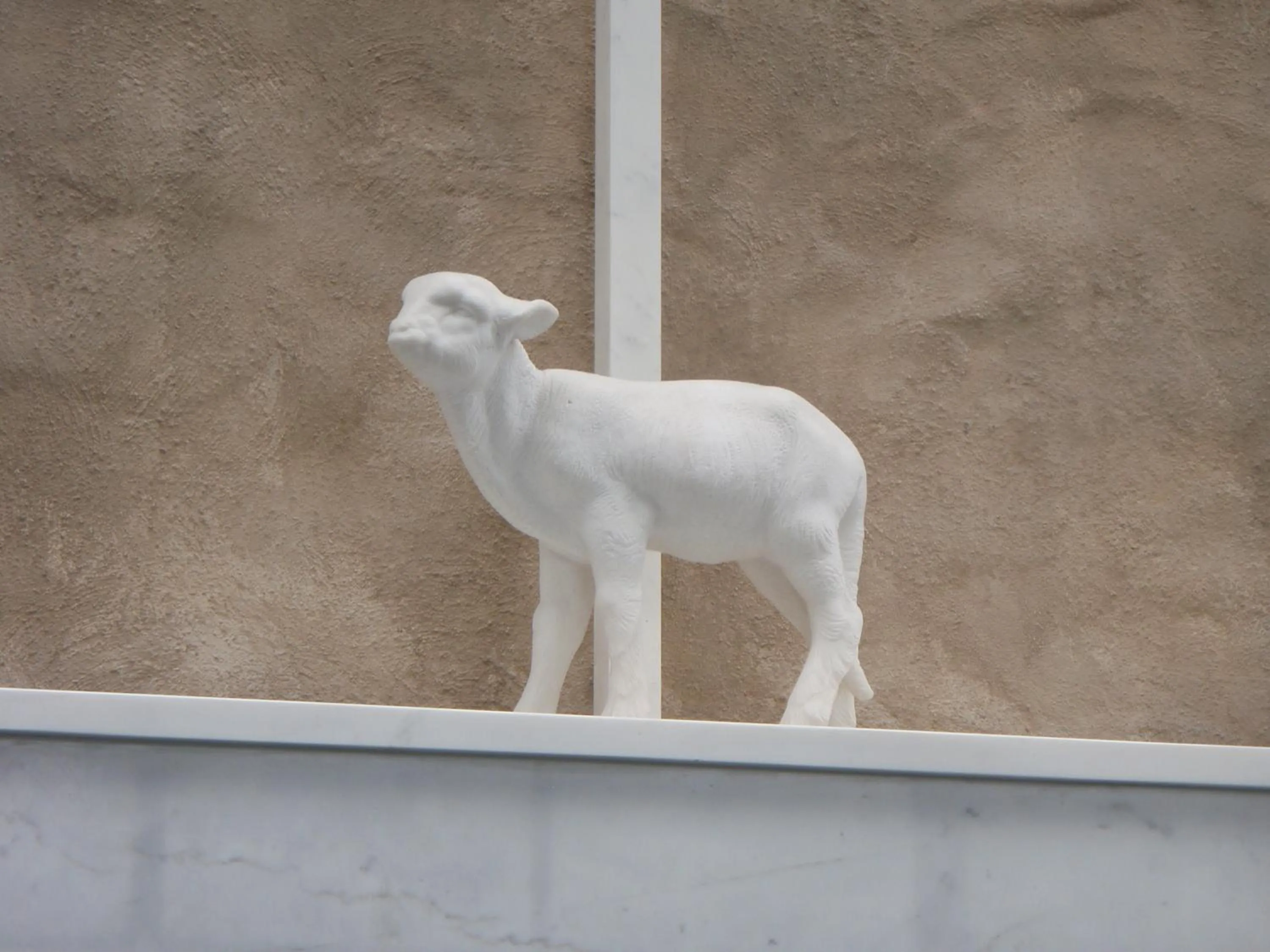 Activities in Divine Mercy B&B