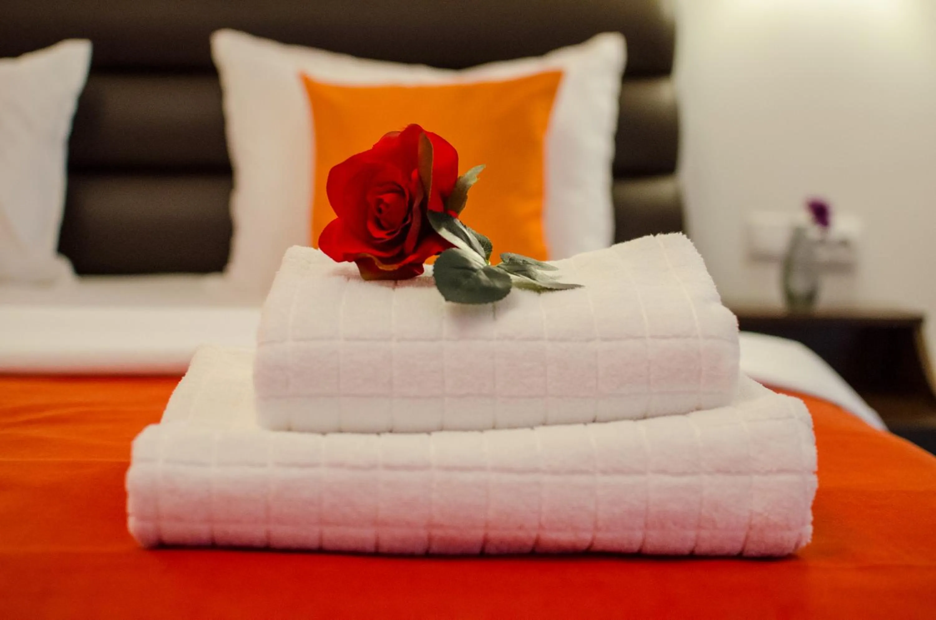 Decorative detail, Bed in City Lux Villa