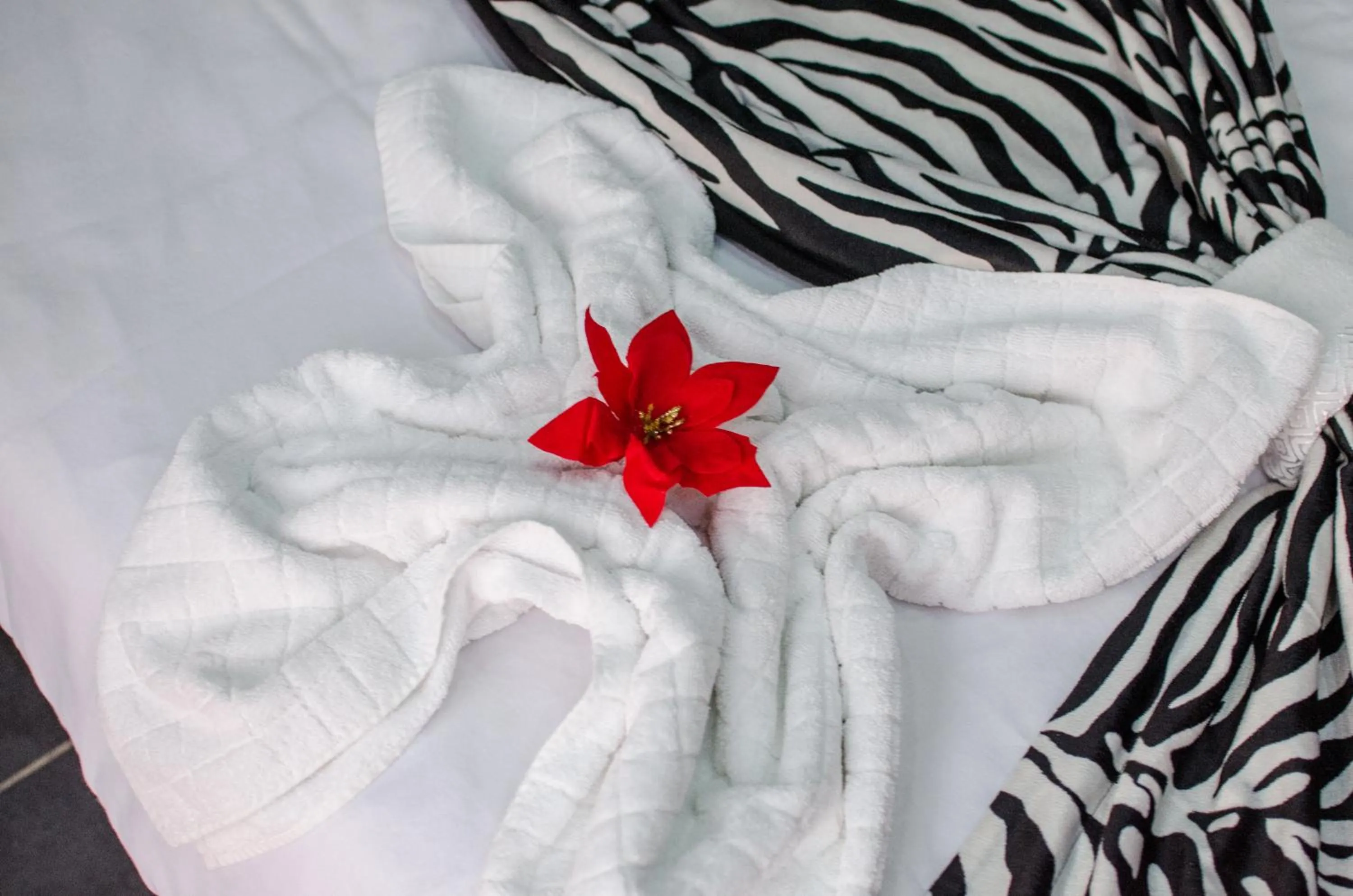 Decorative detail in City Lux Villa