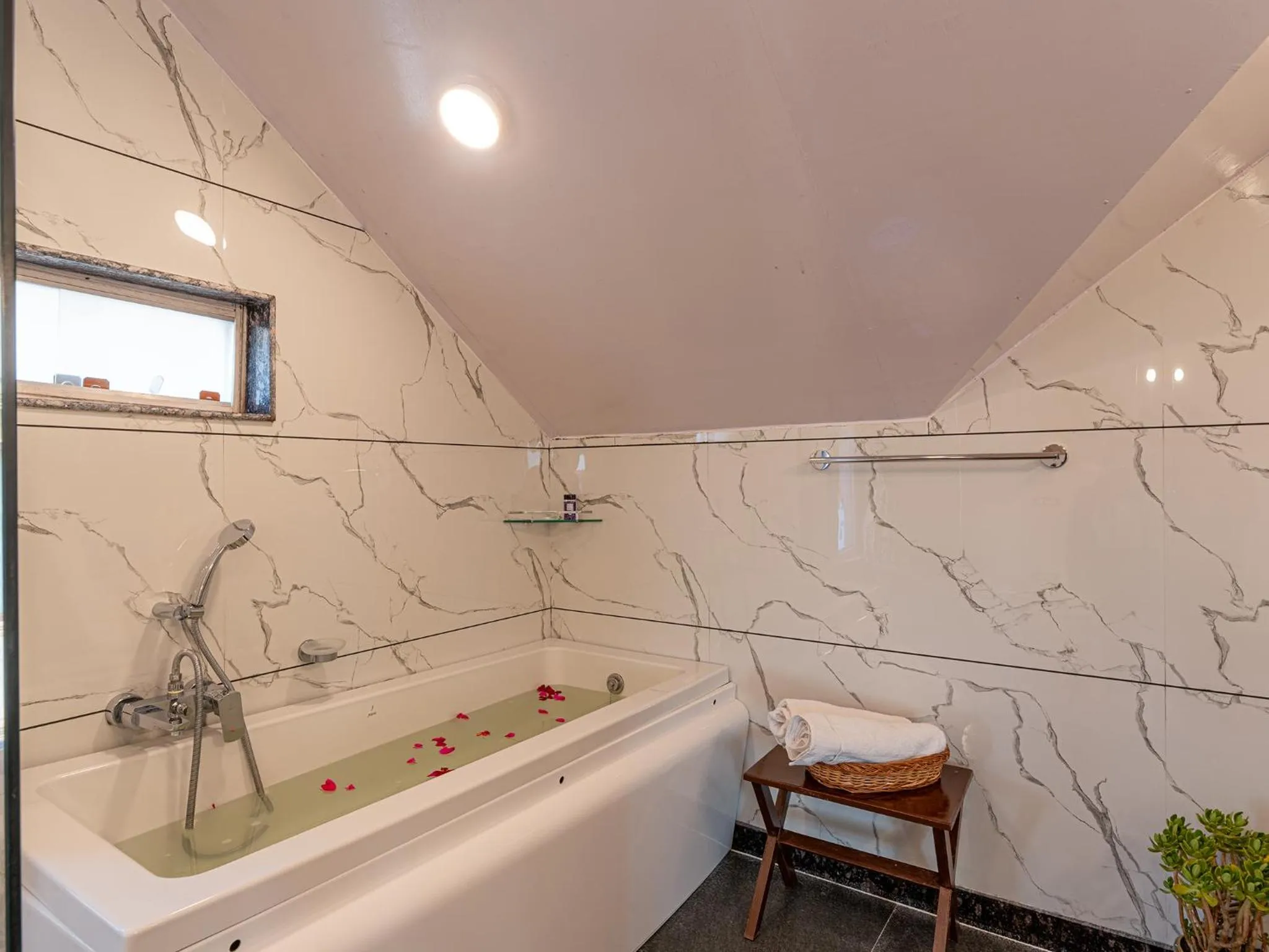 Bath in Moustache Srinagar