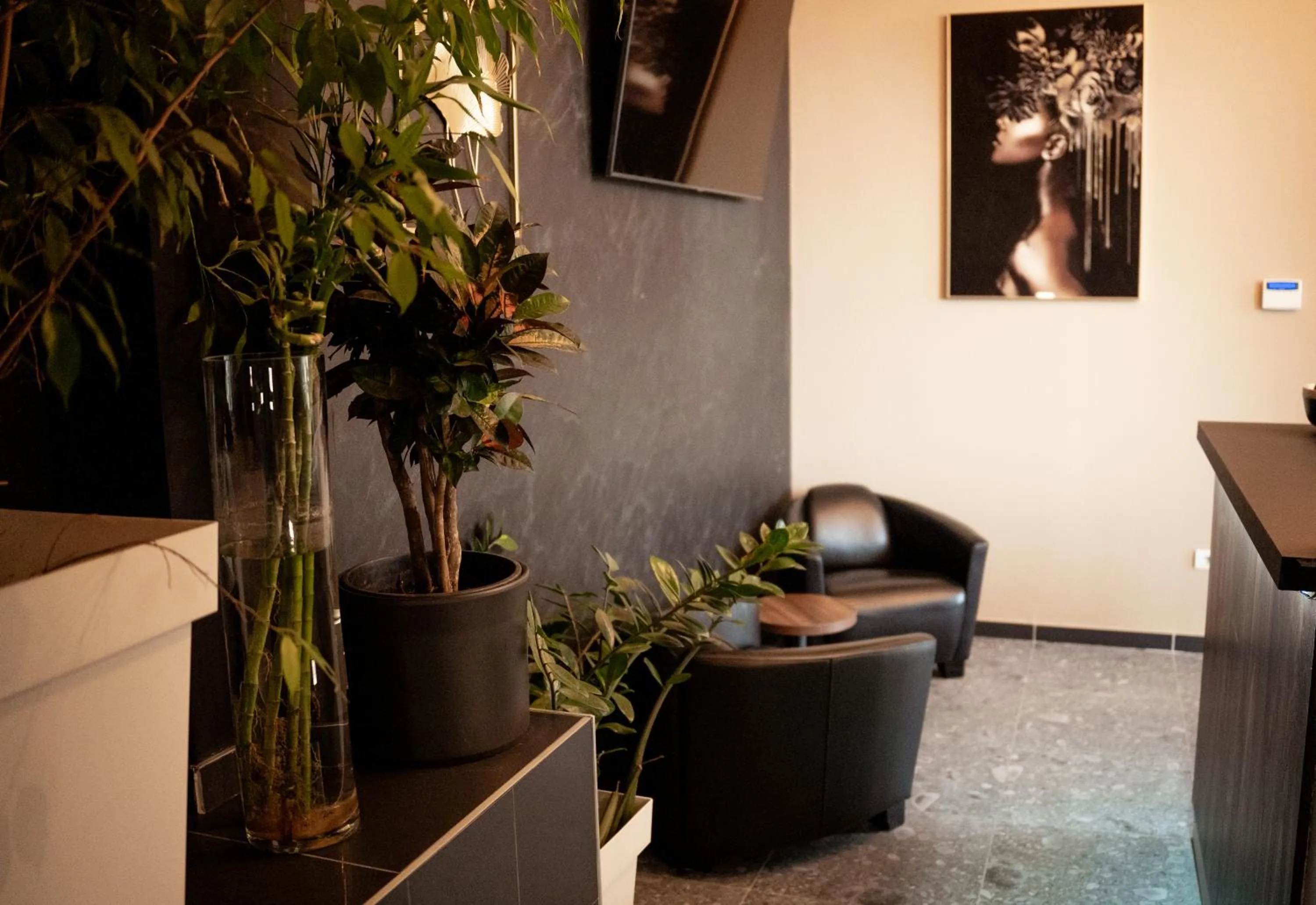 Seating area in Olivia Rooms