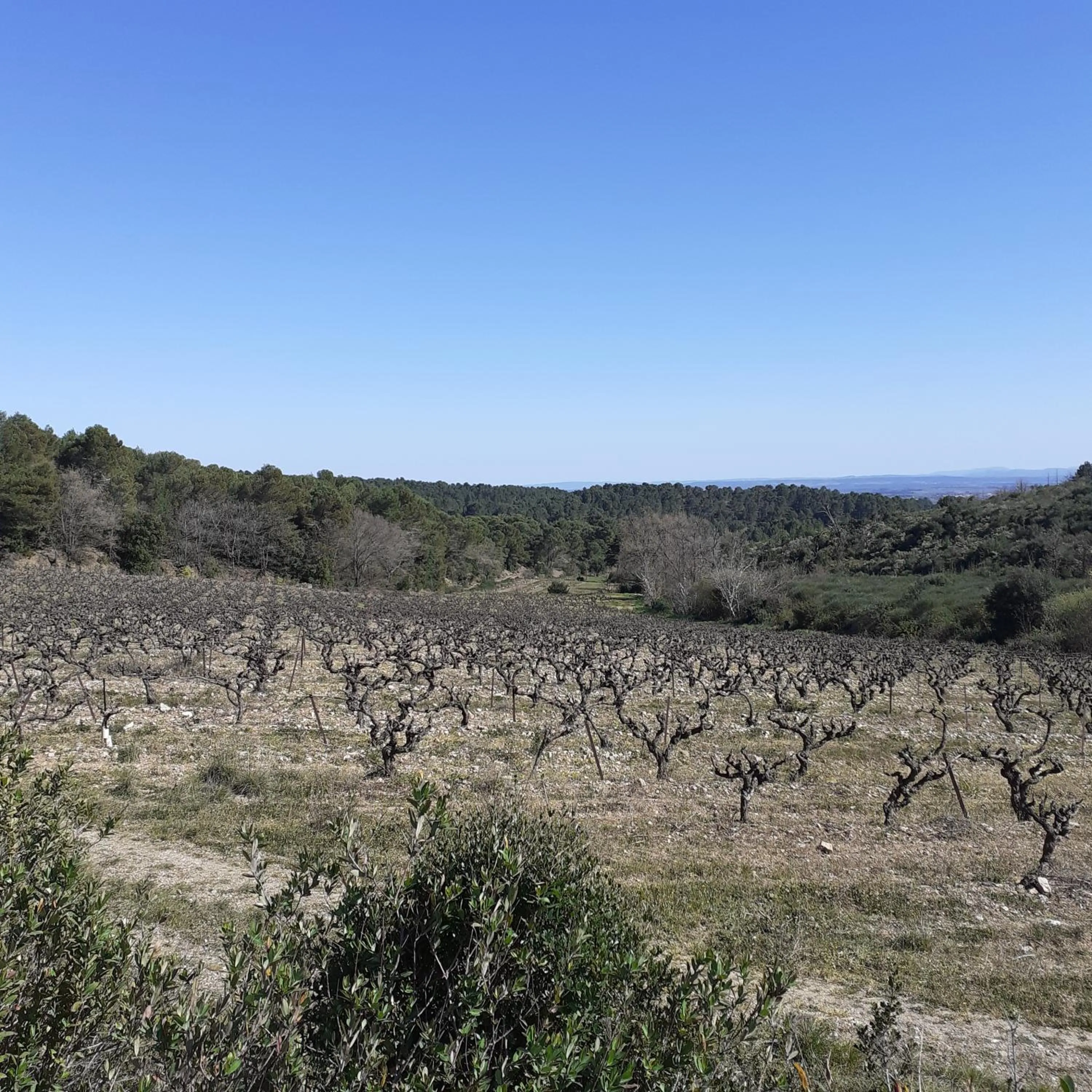 Natural landscape in Les deux arches
