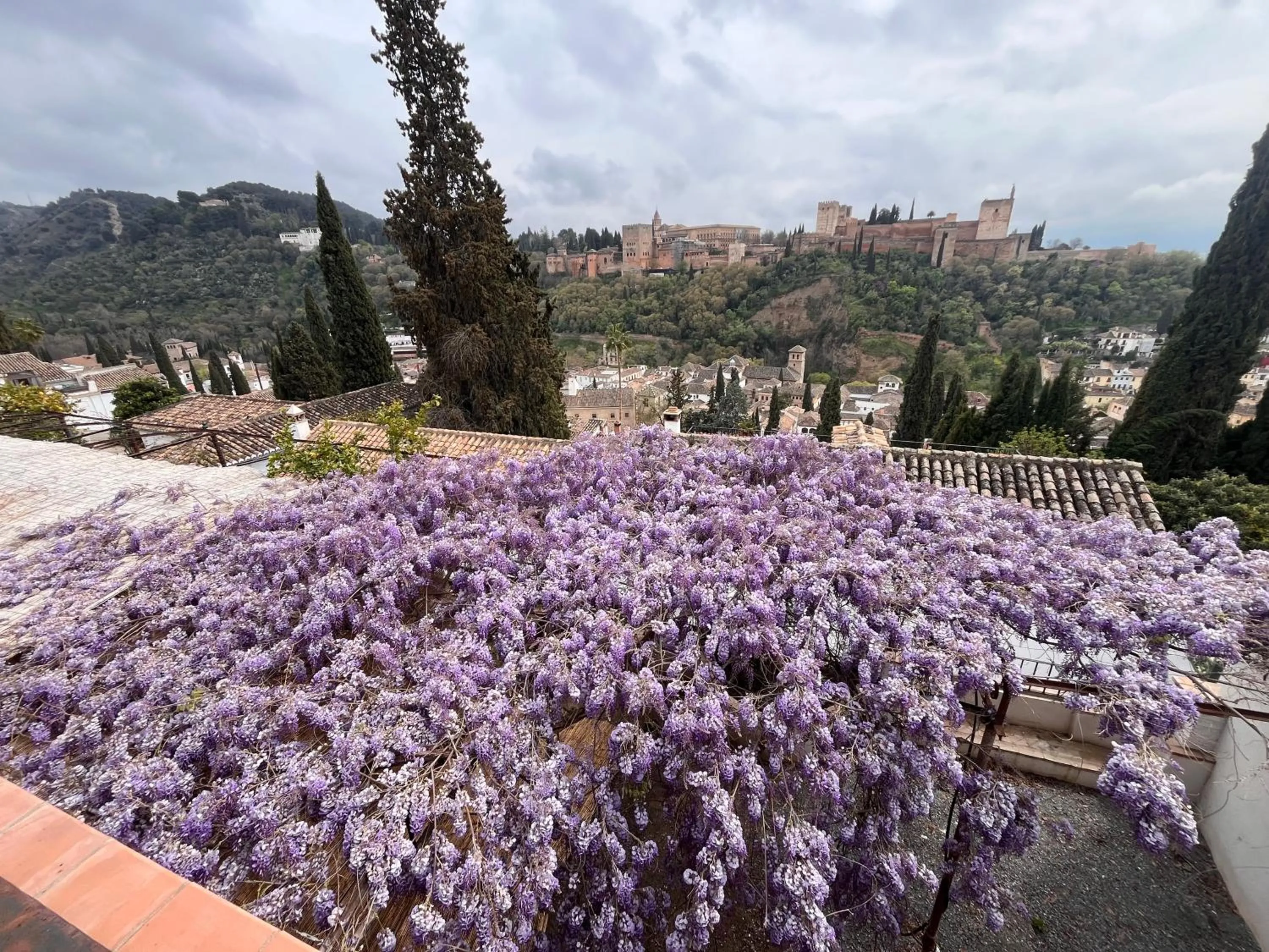 Garden in La Casa JuanRanas