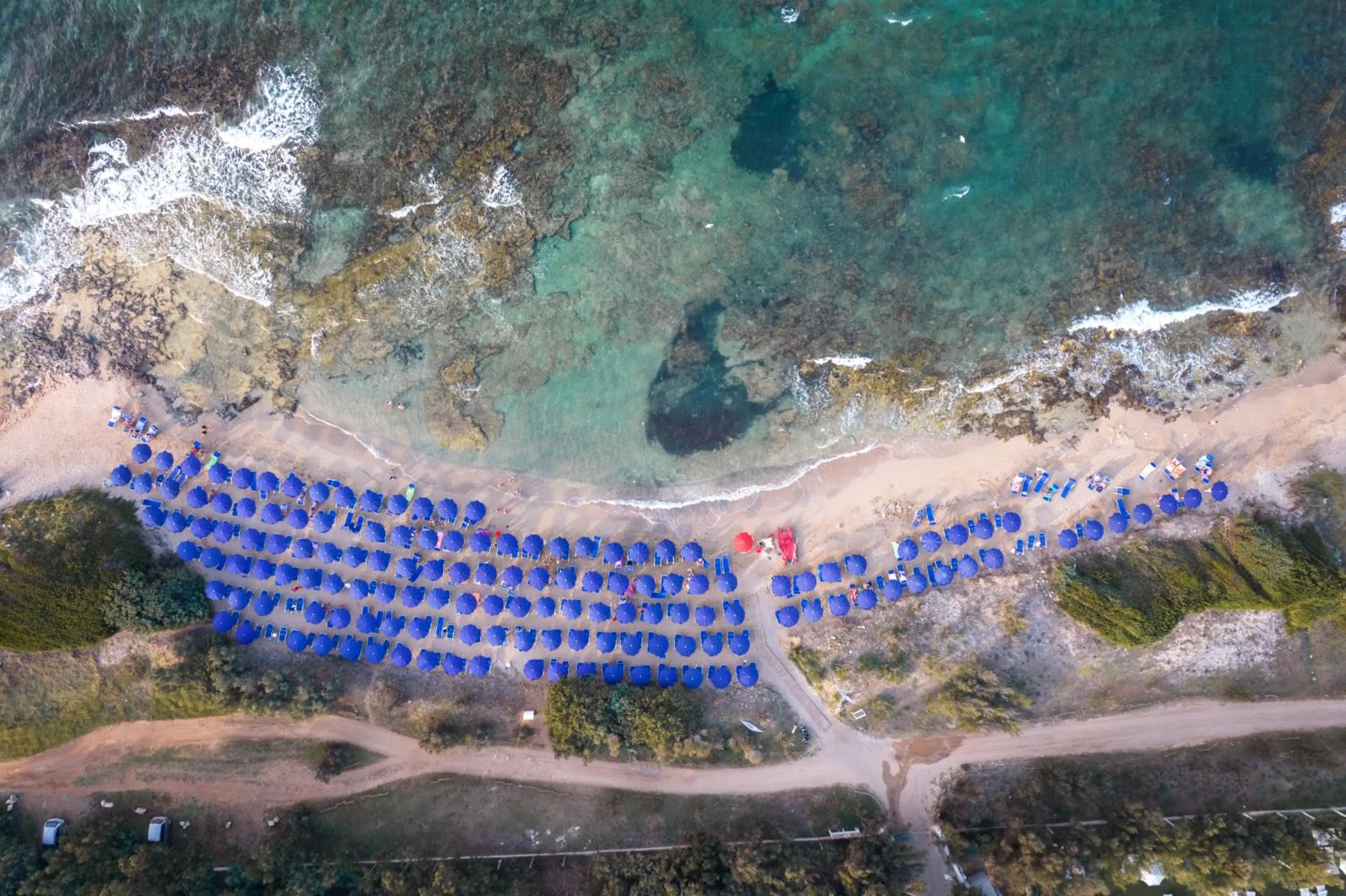 Meditur Puglia