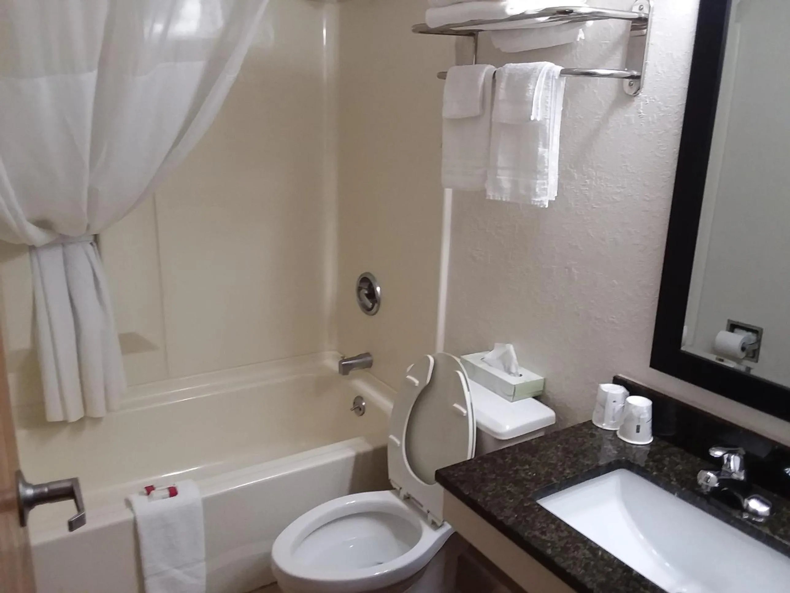 Bathroom in Days Inn by Wyndham Hornell NY