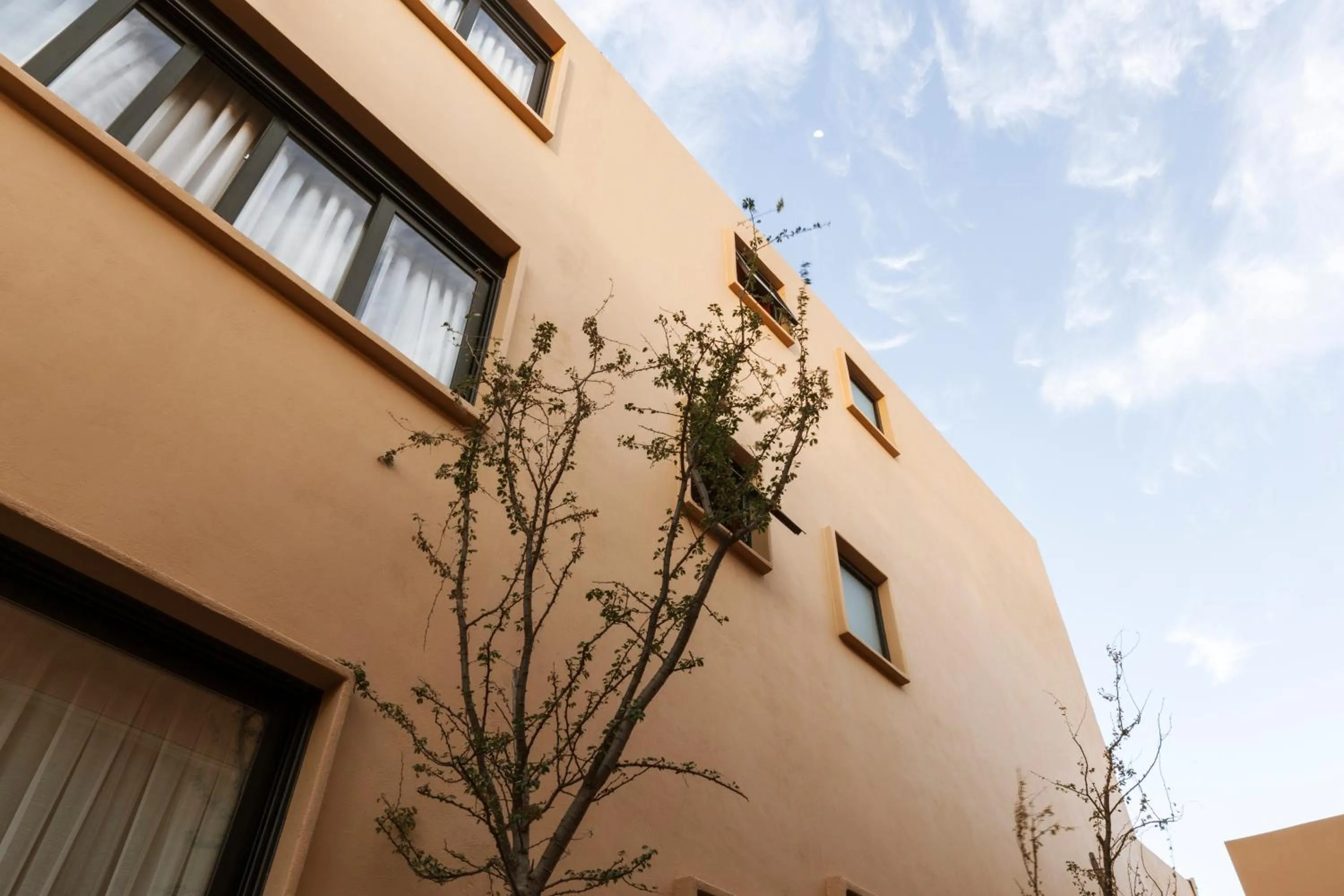Facade/entrance in Macondo Arte Oaxaca