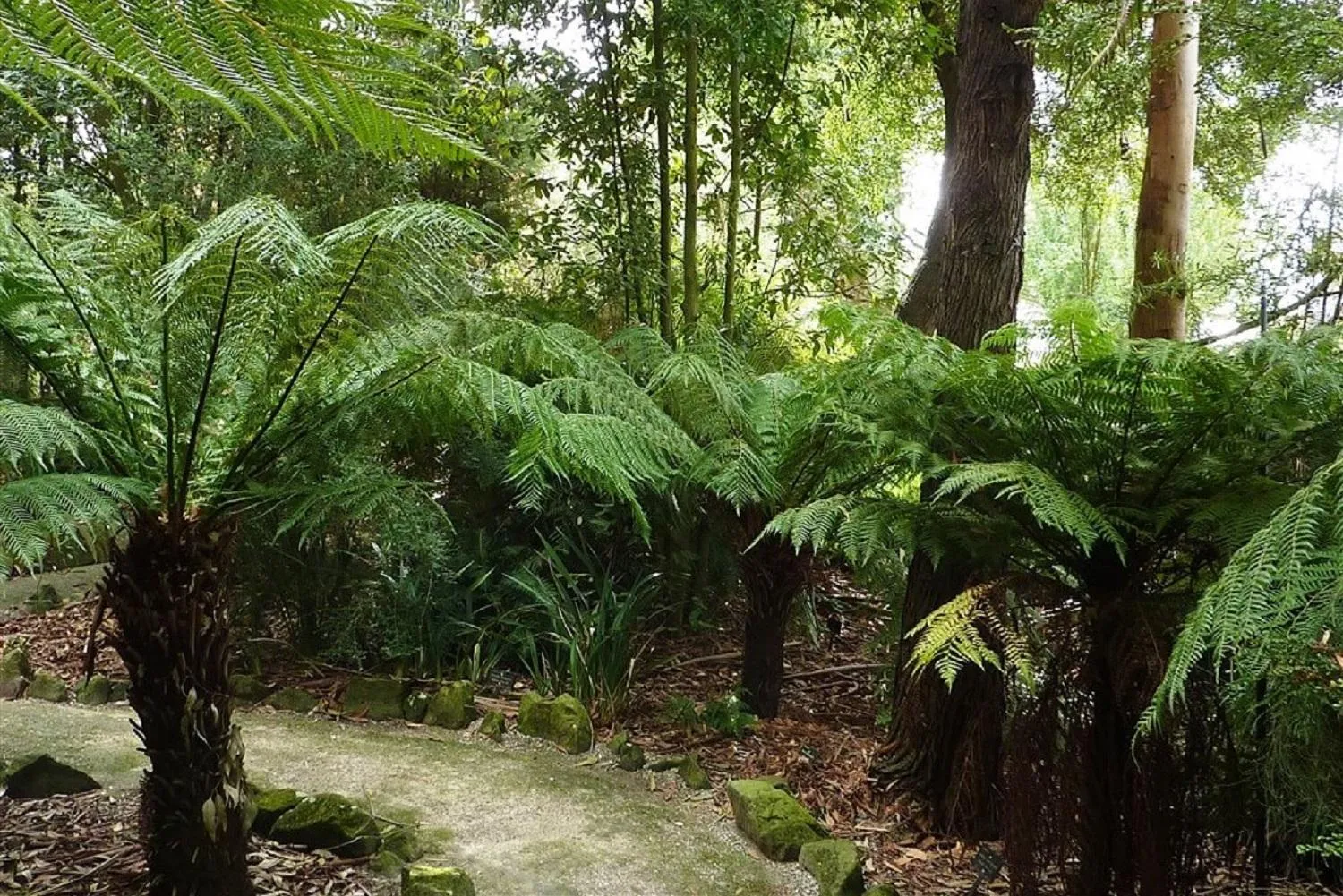Nearby landmark in Colac Central Motel