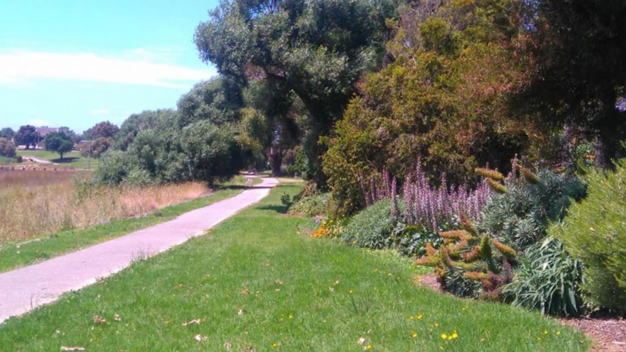 Off site in Colac Central Motel