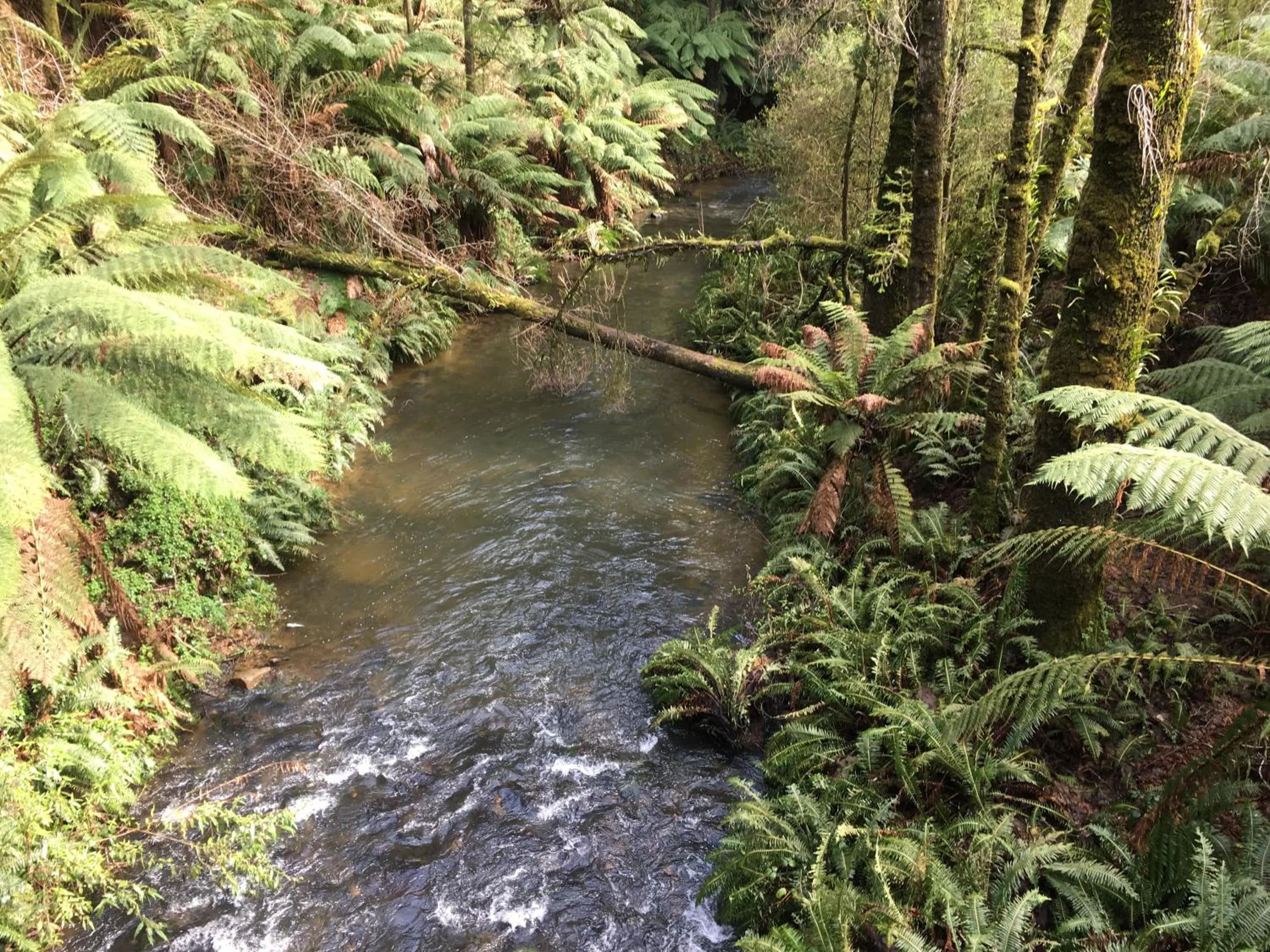Nearby landmark in Colac Central Motel