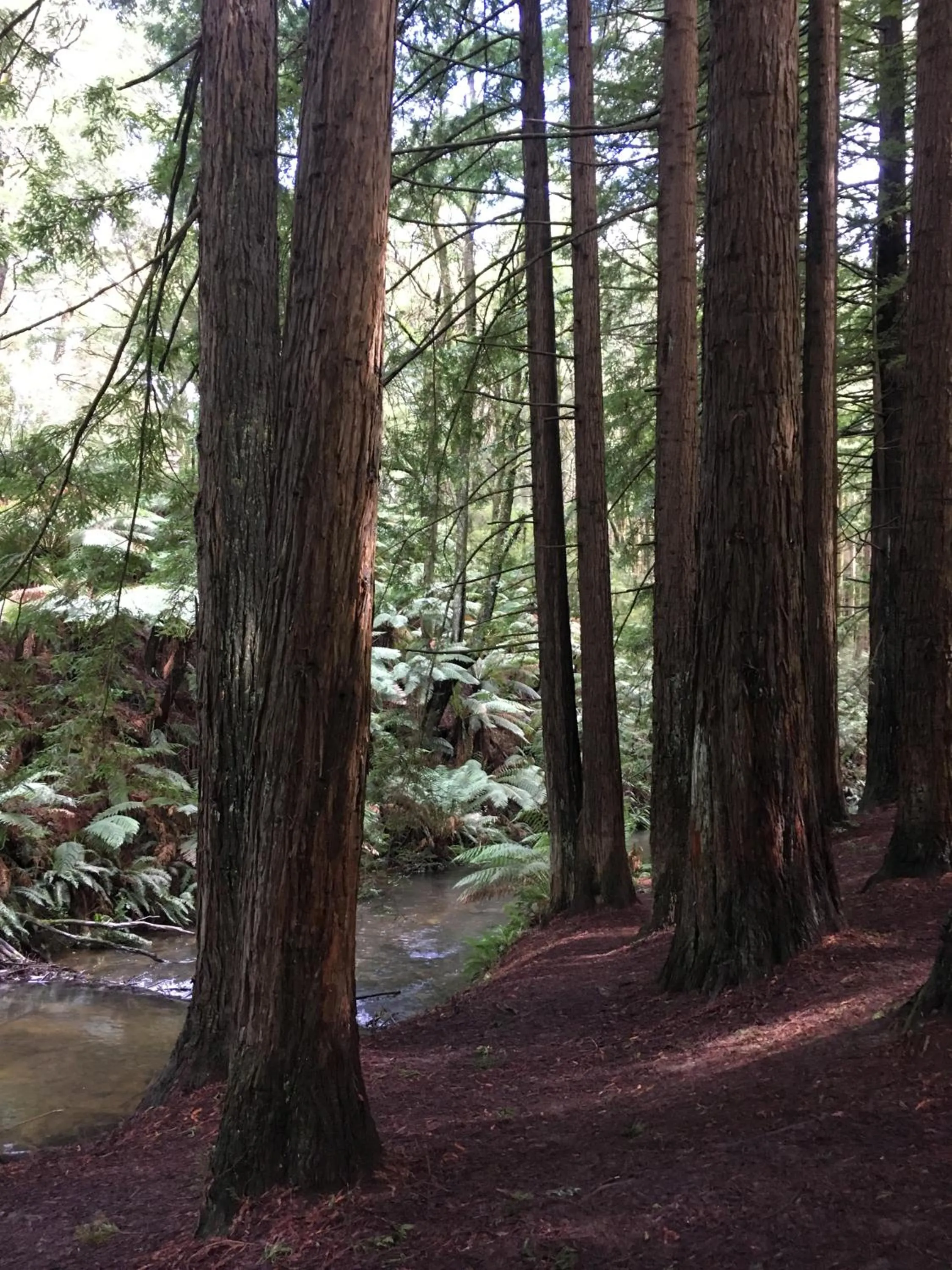 Nearby landmark in Colac Central Motel
