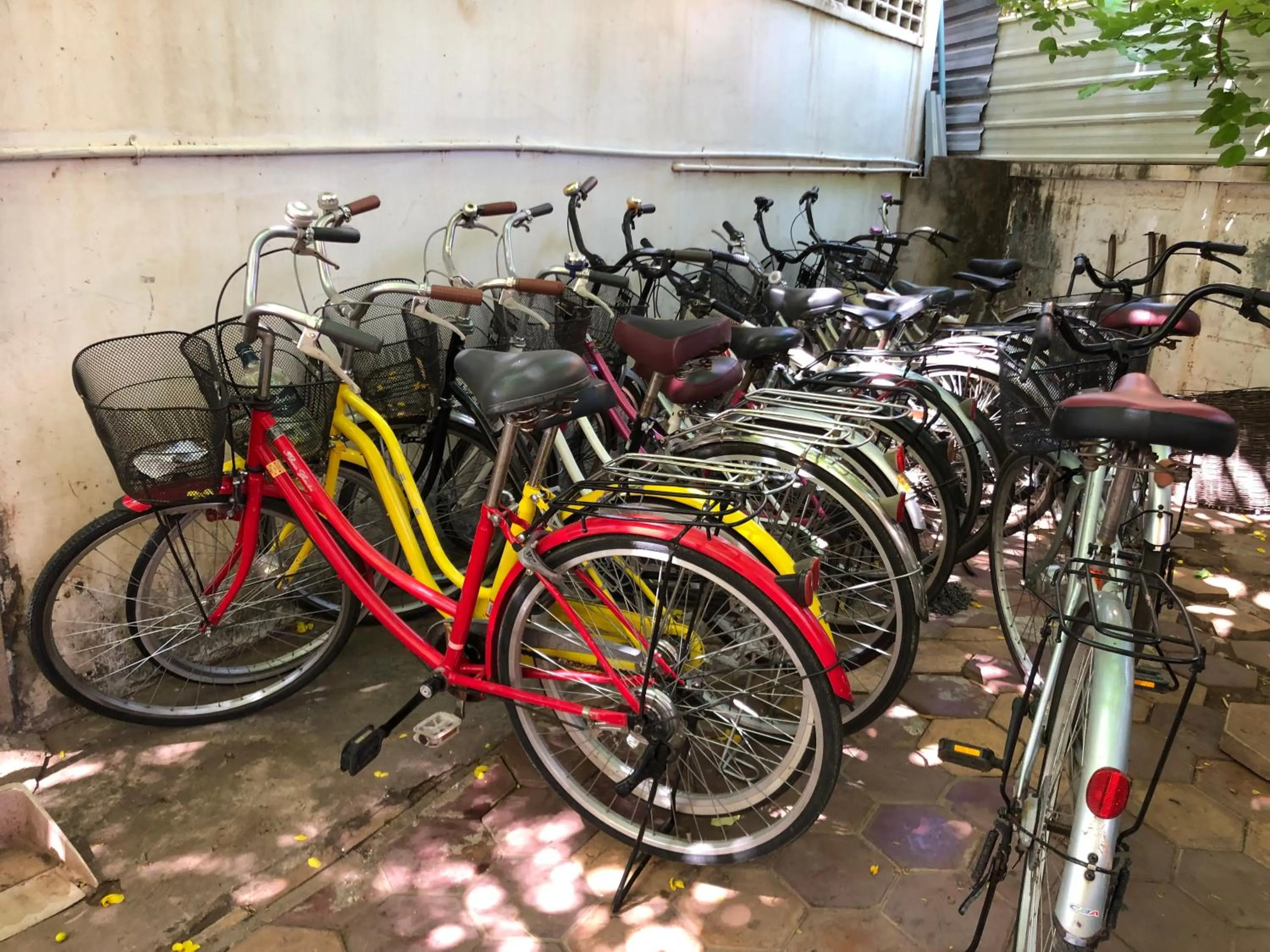 Area and facilities in Blossoming Romduol Boutique