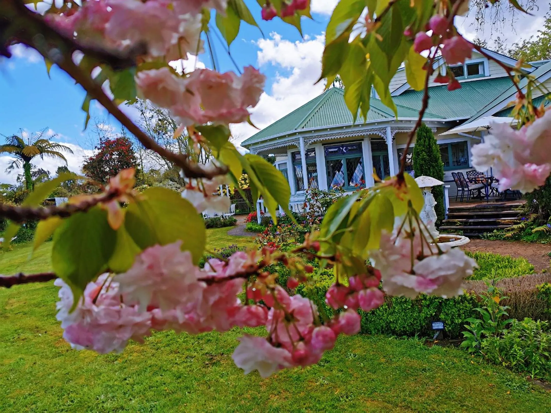 Garden view in Country Villa Estate