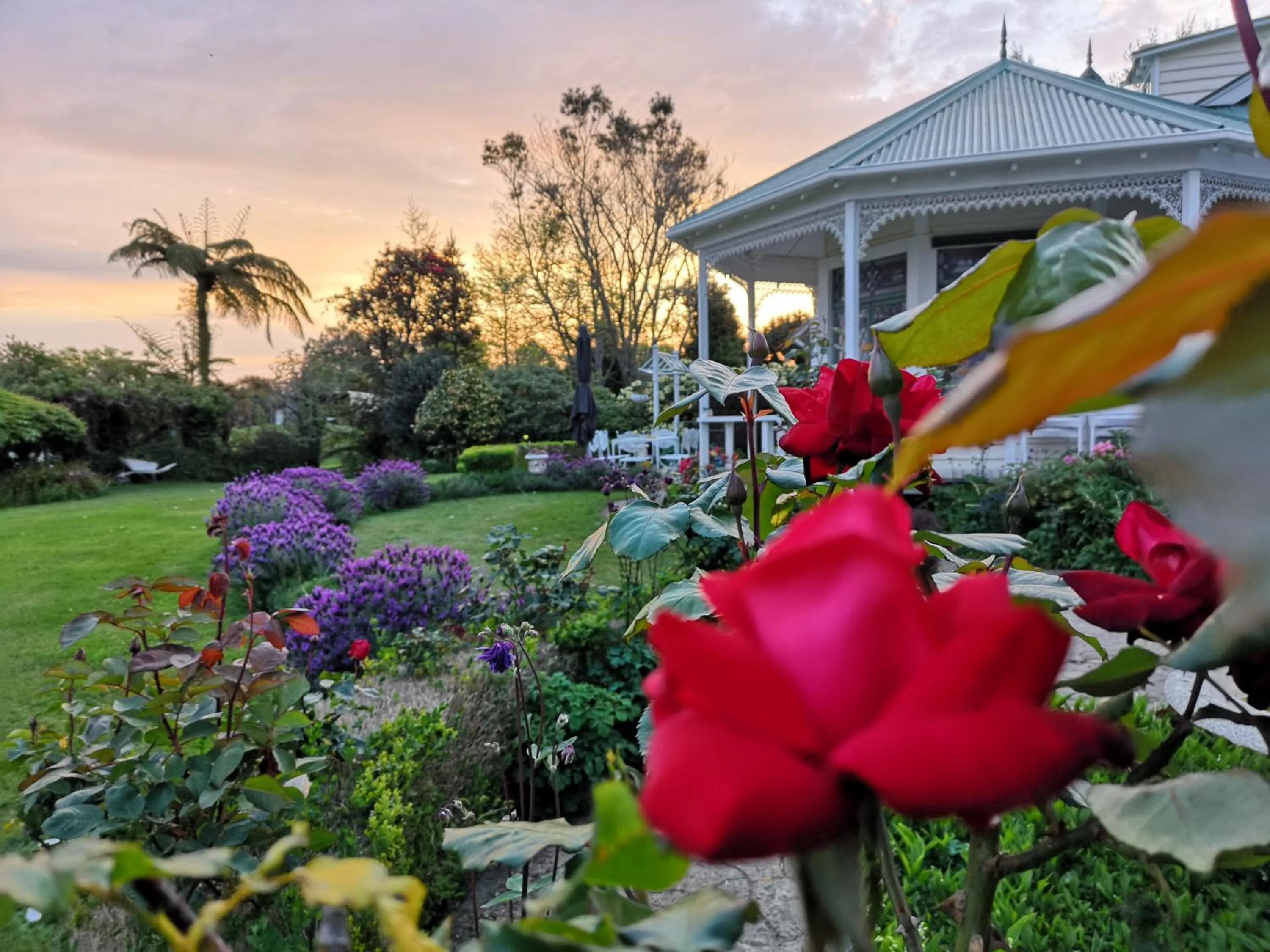 Garden in Country Villa Estate