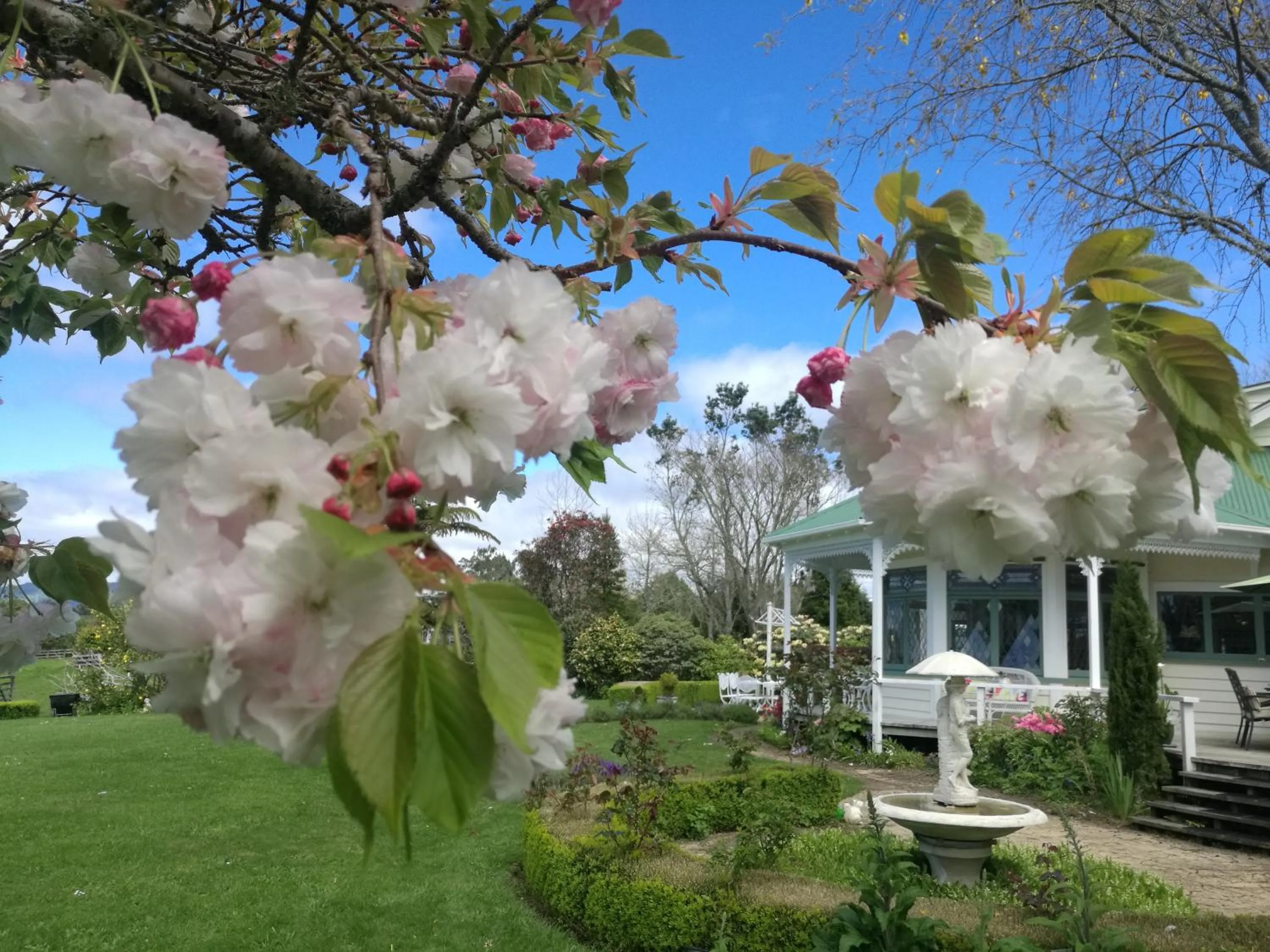 Garden in Country Villa Estate