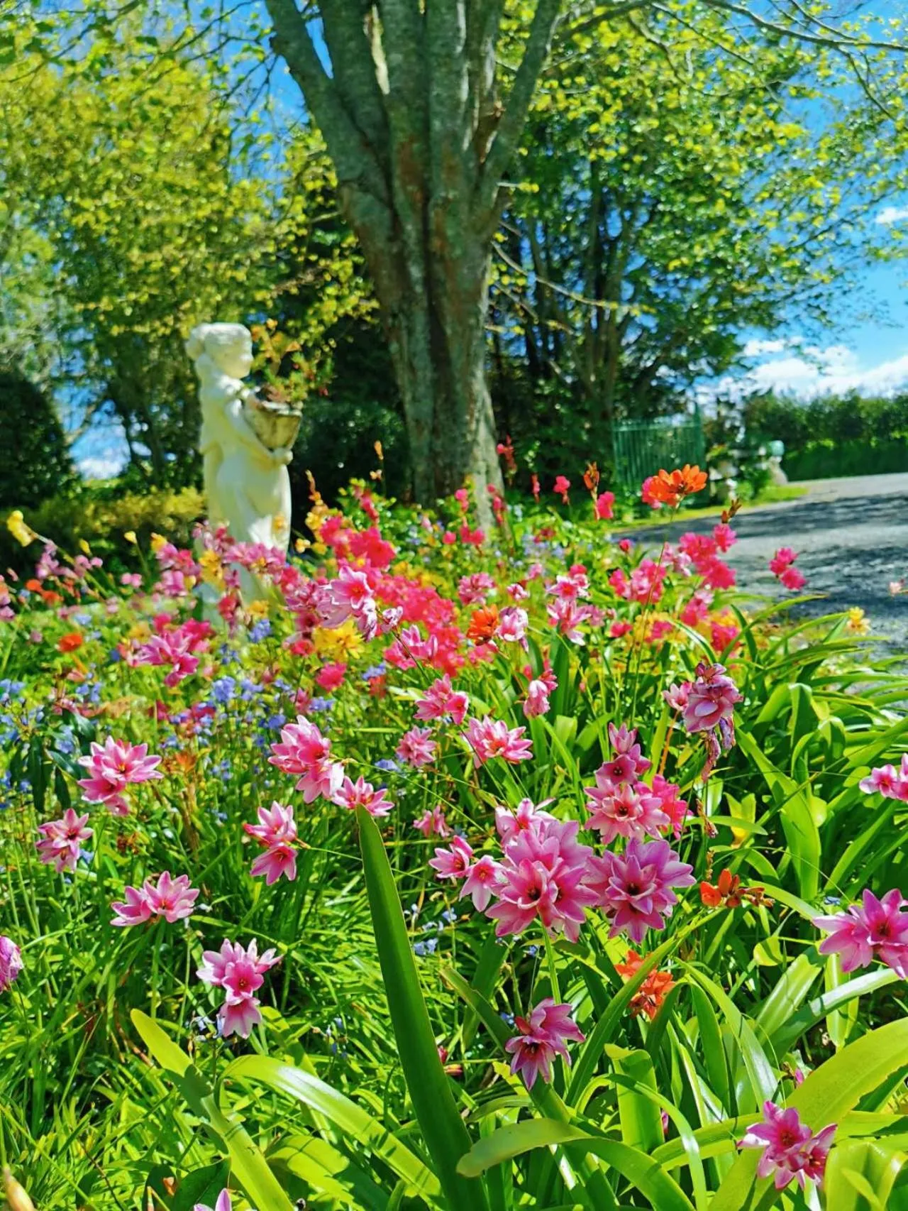 Country Villa Estate