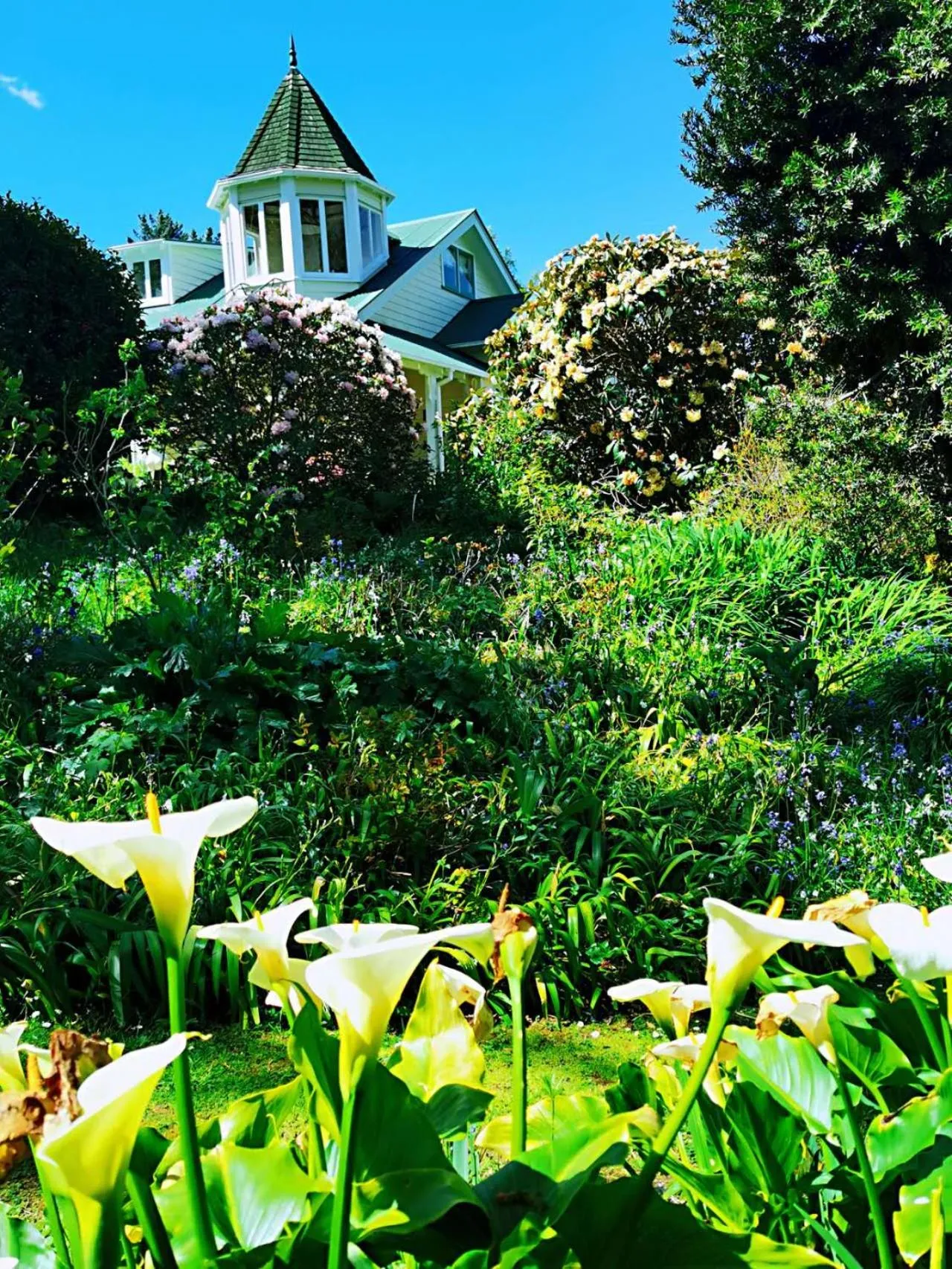 Country Villa Estate