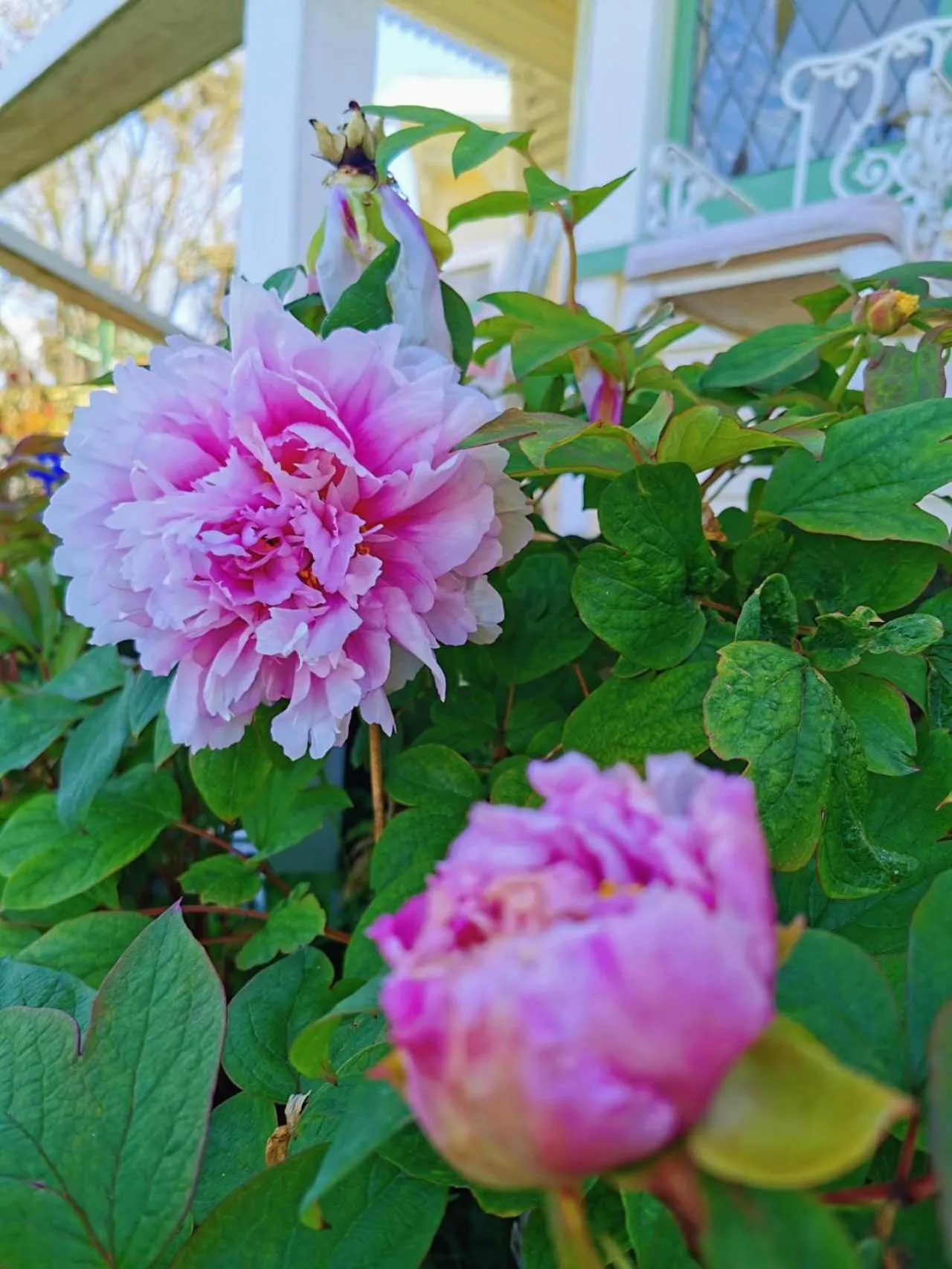 Country Villa Estate