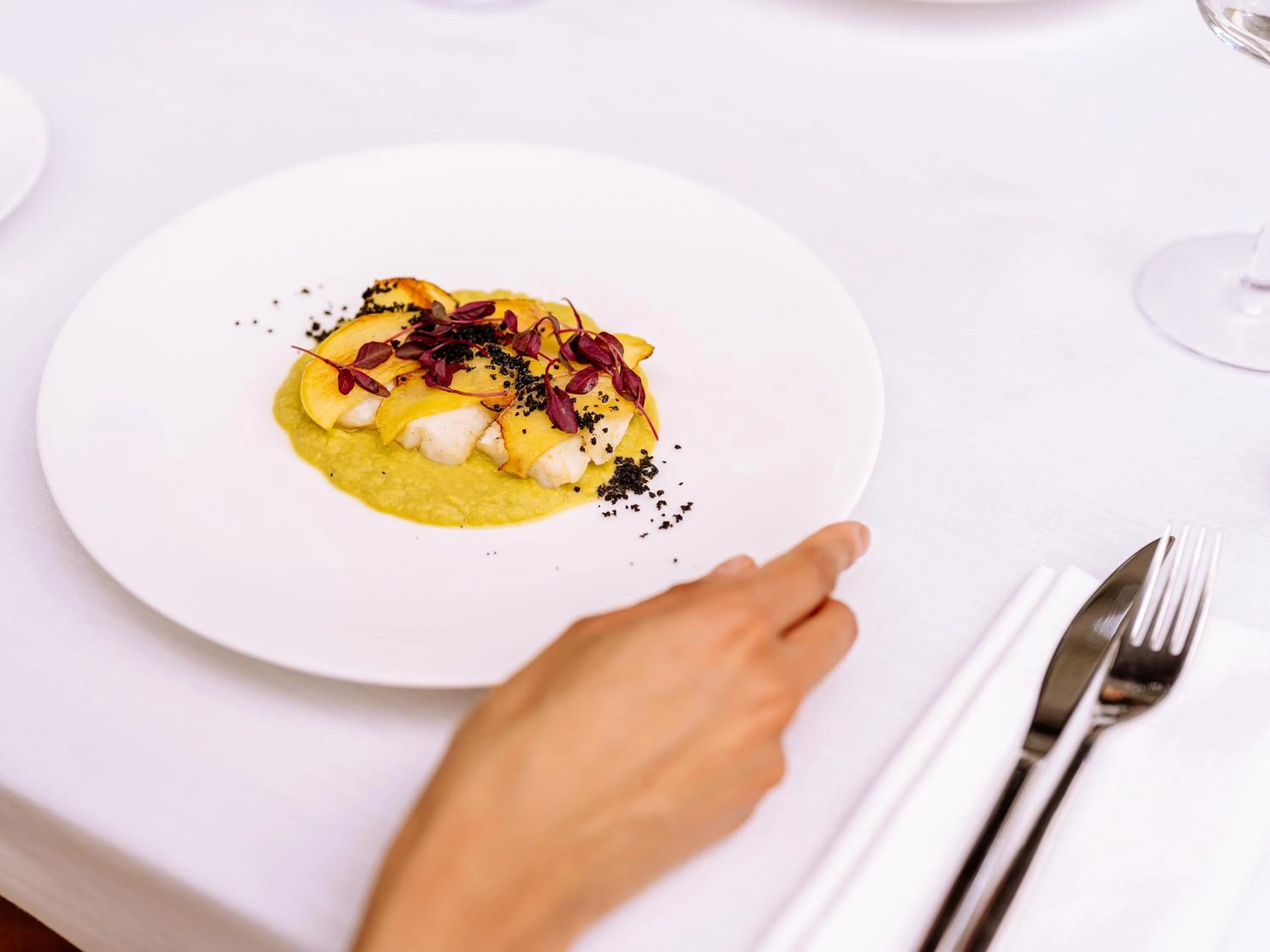 Restaurant/places to eat in Domus Plinii 1792 Suites