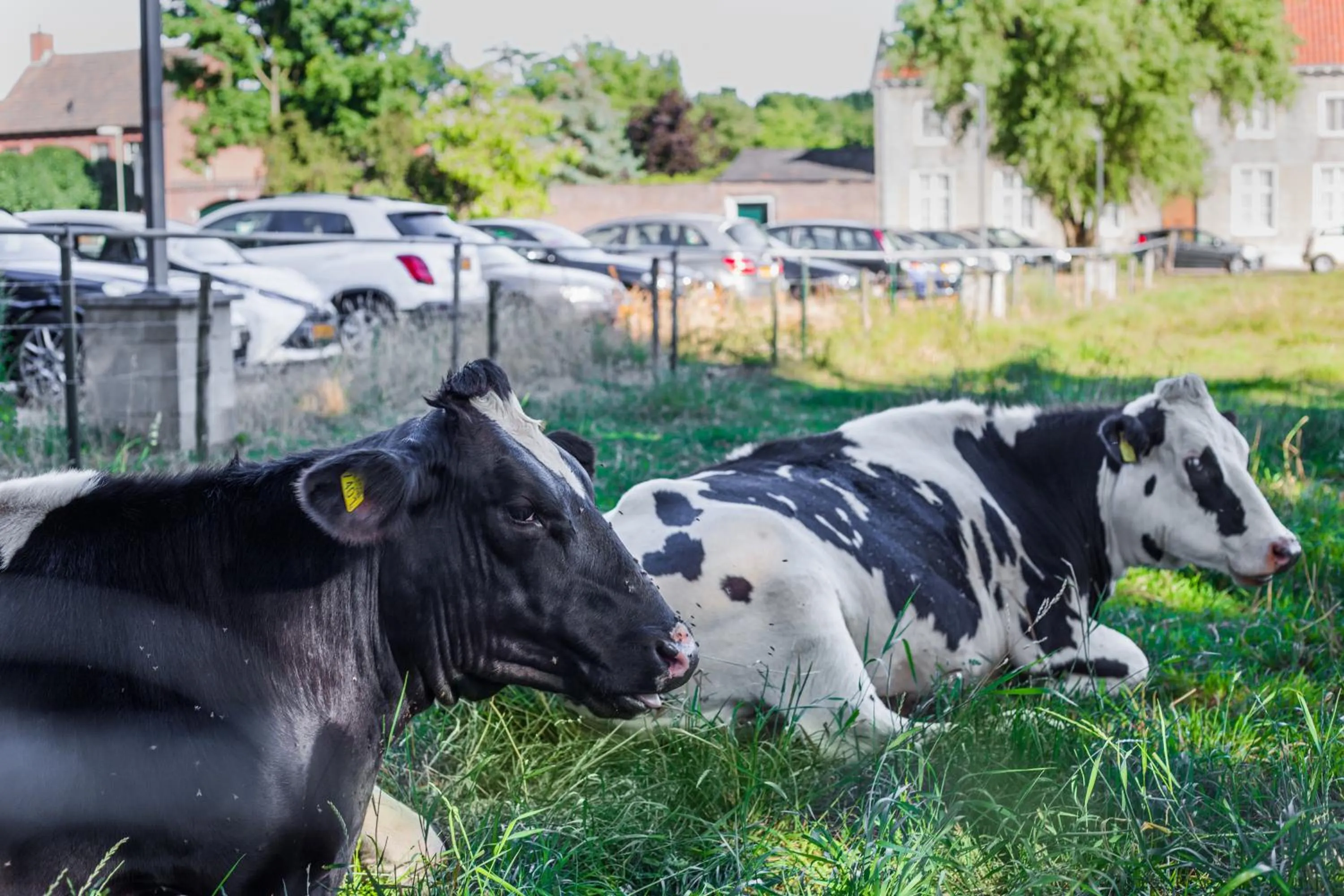 Neighbourhood in Hotel Restaurant De Roosterhoeve