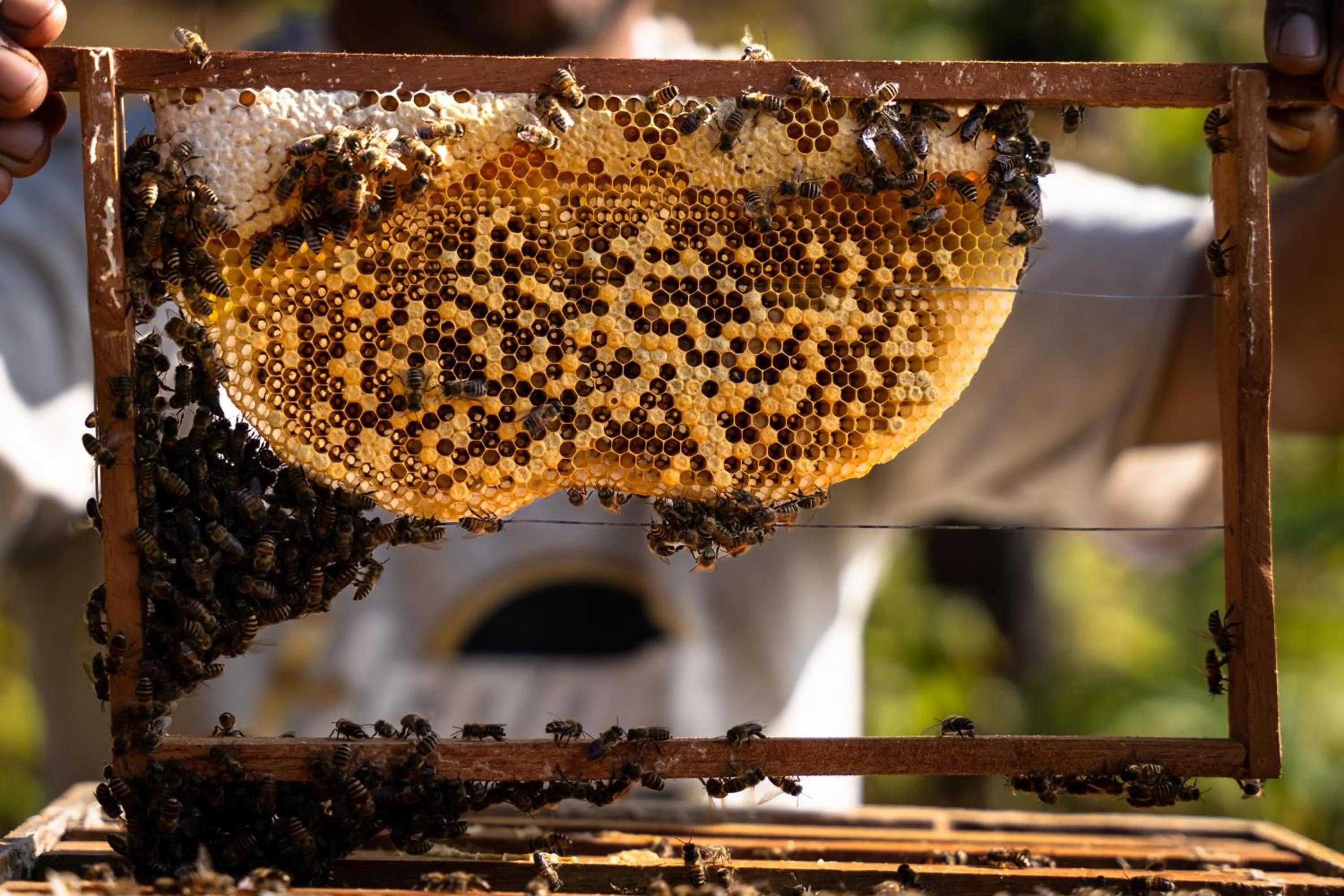 Day in Naya Gaun Eco Resort