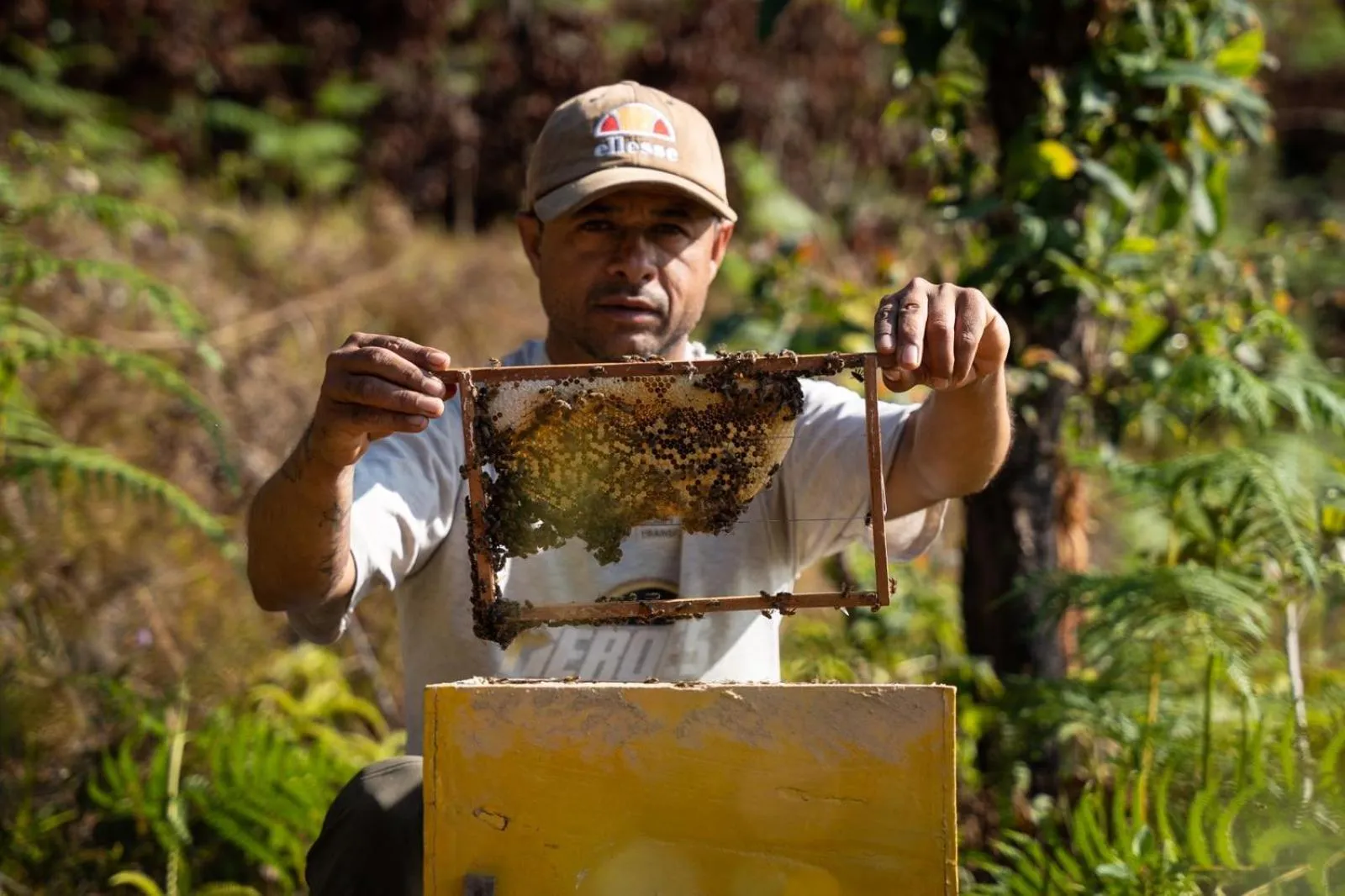 Naya Gaun Eco Resort