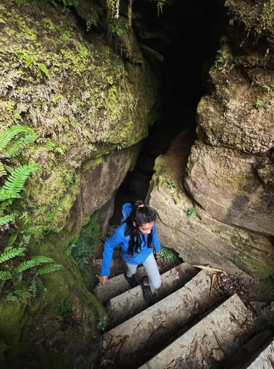 Naya Gaun Eco Resort