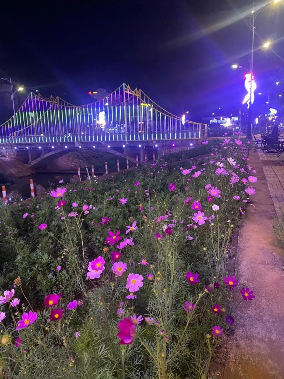 Natural landscape in HA PLEIKU