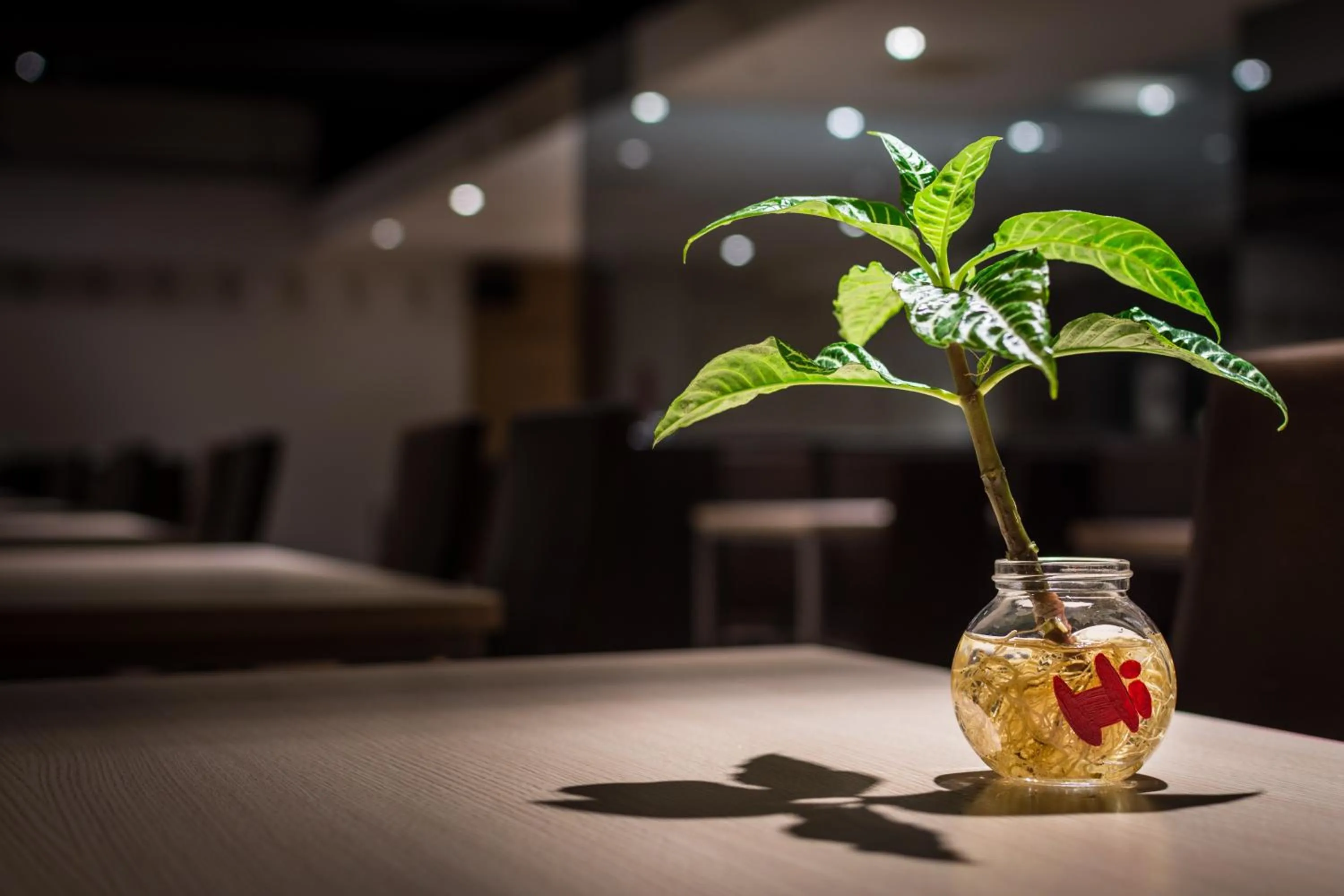 Other in HOTEL HI- Chui-Yang