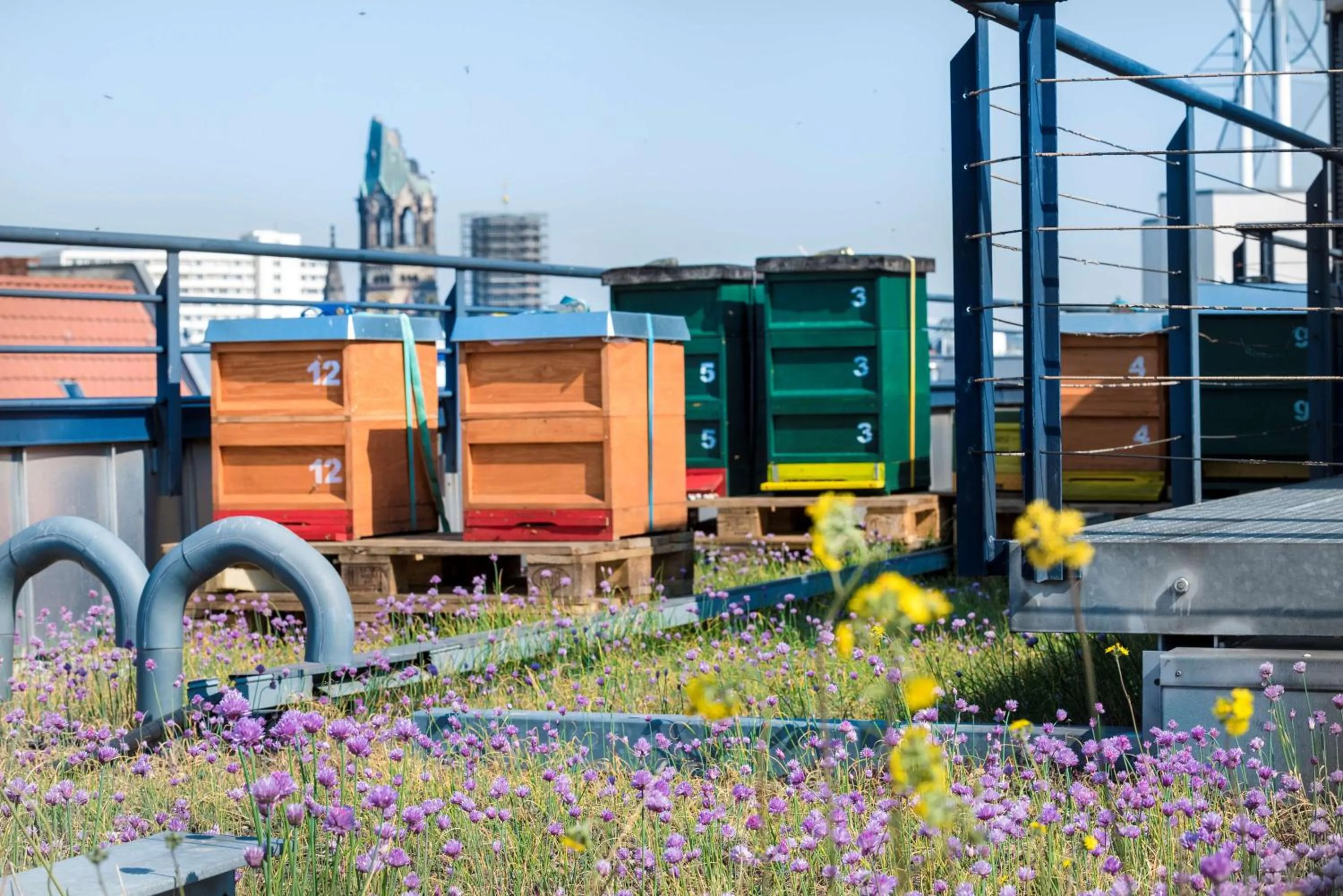 Property building in Scandic Berlin Kurfürstendamm