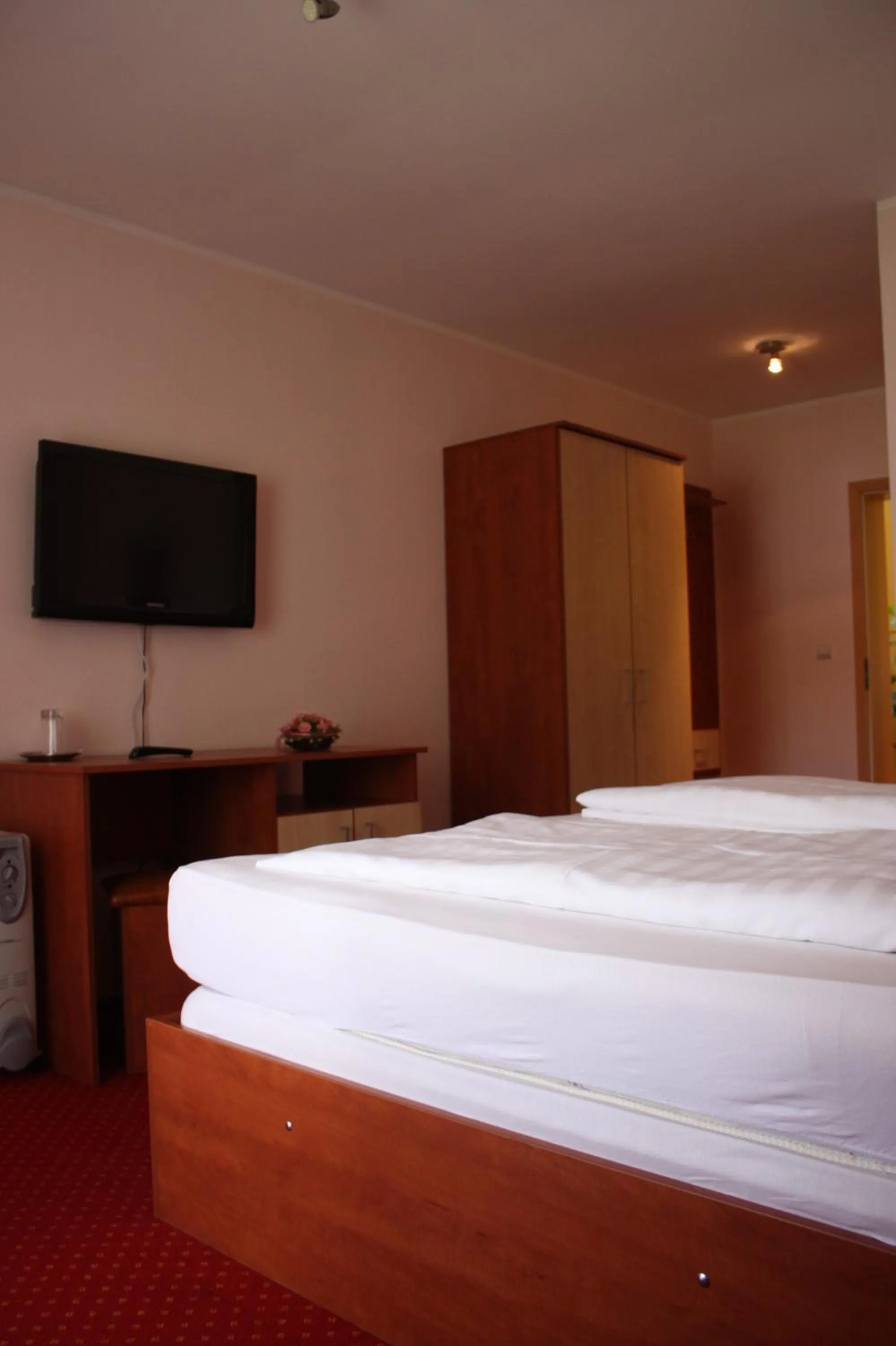 Twin Room with Mountain View - single occupancy in Pensiune Safrane