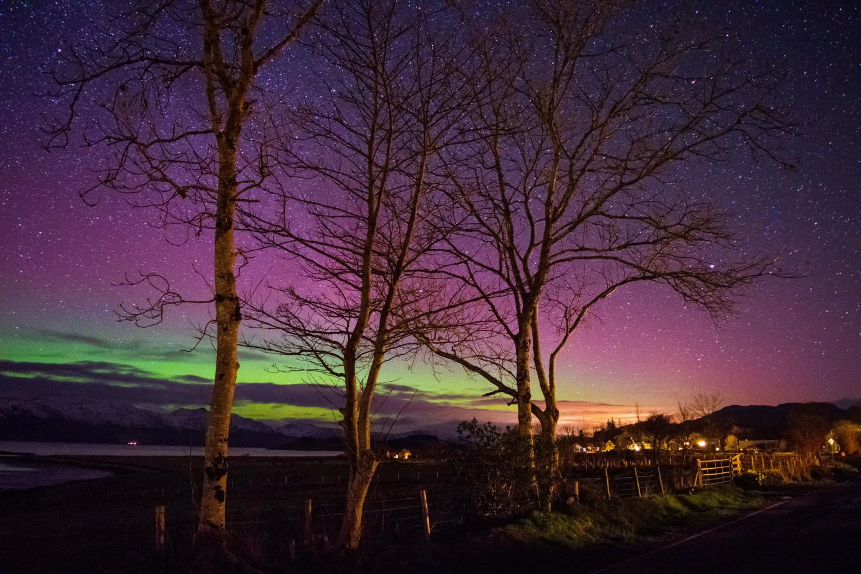Natural landscape in The Airds Hotel and Restaurant