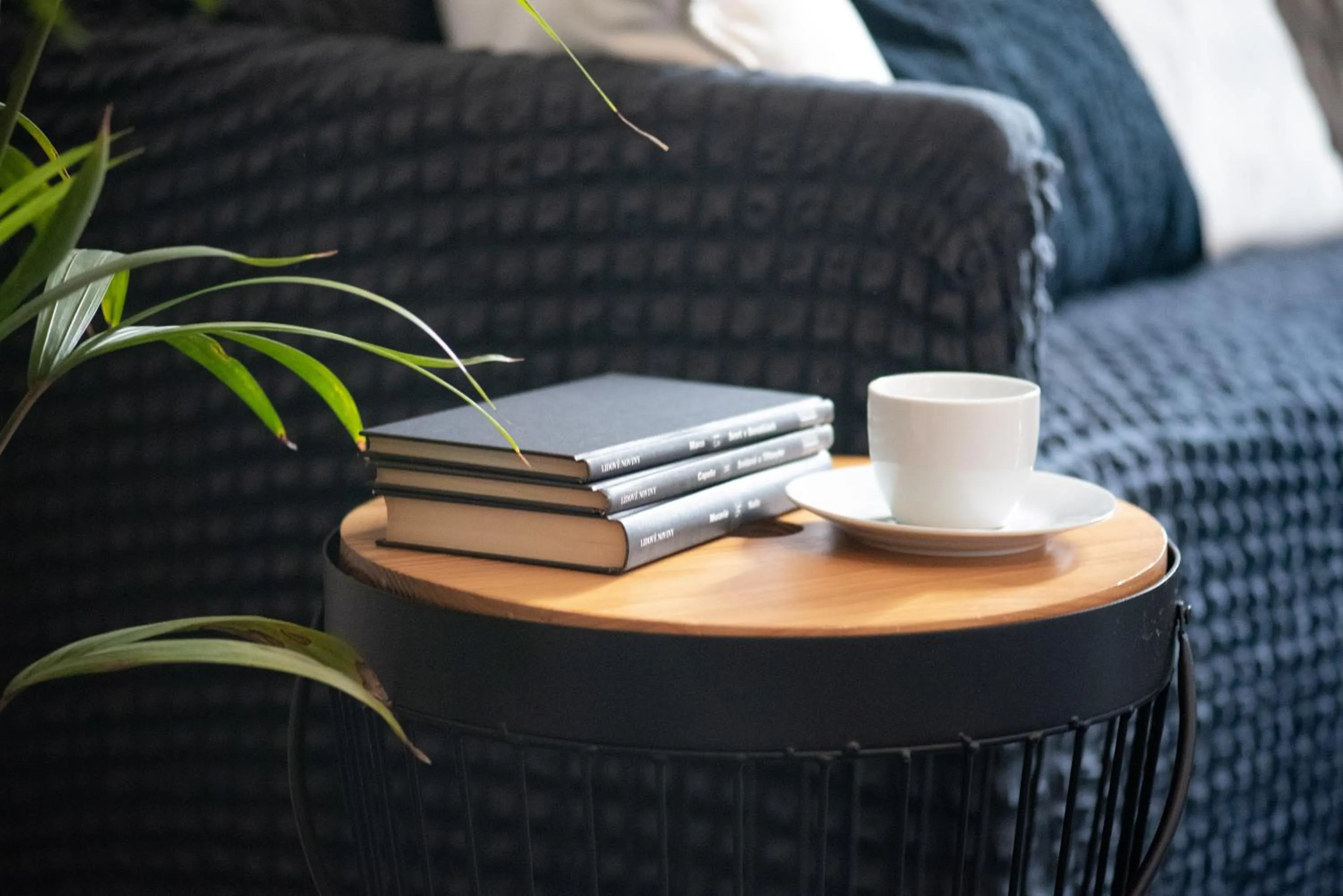 Decorative detail in Hotel Pivoňka