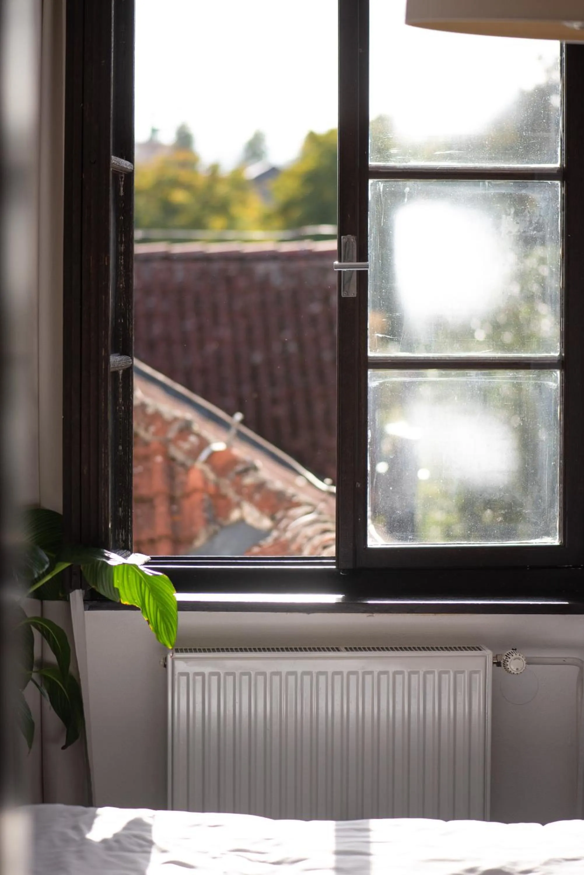 View (from property/room) in Hotel Pivoňka