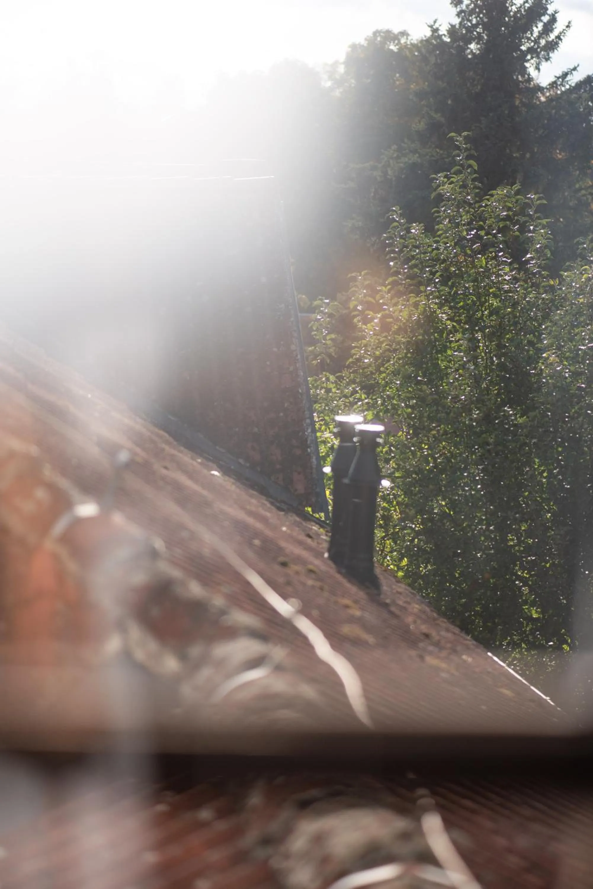 View (from property/room) in Hotel Pivoňka