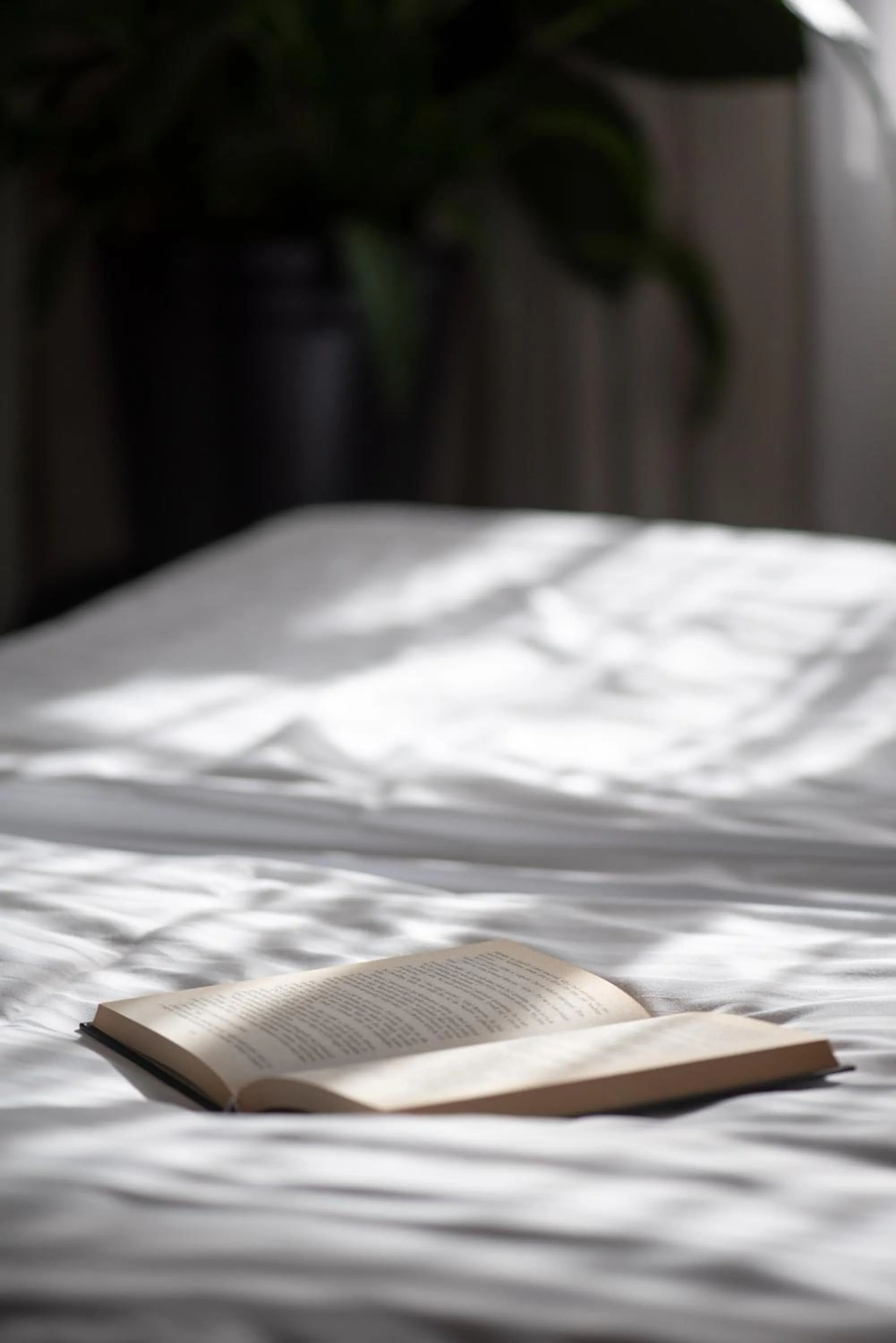 Decorative detail, Bed in Hotel Pivoňka