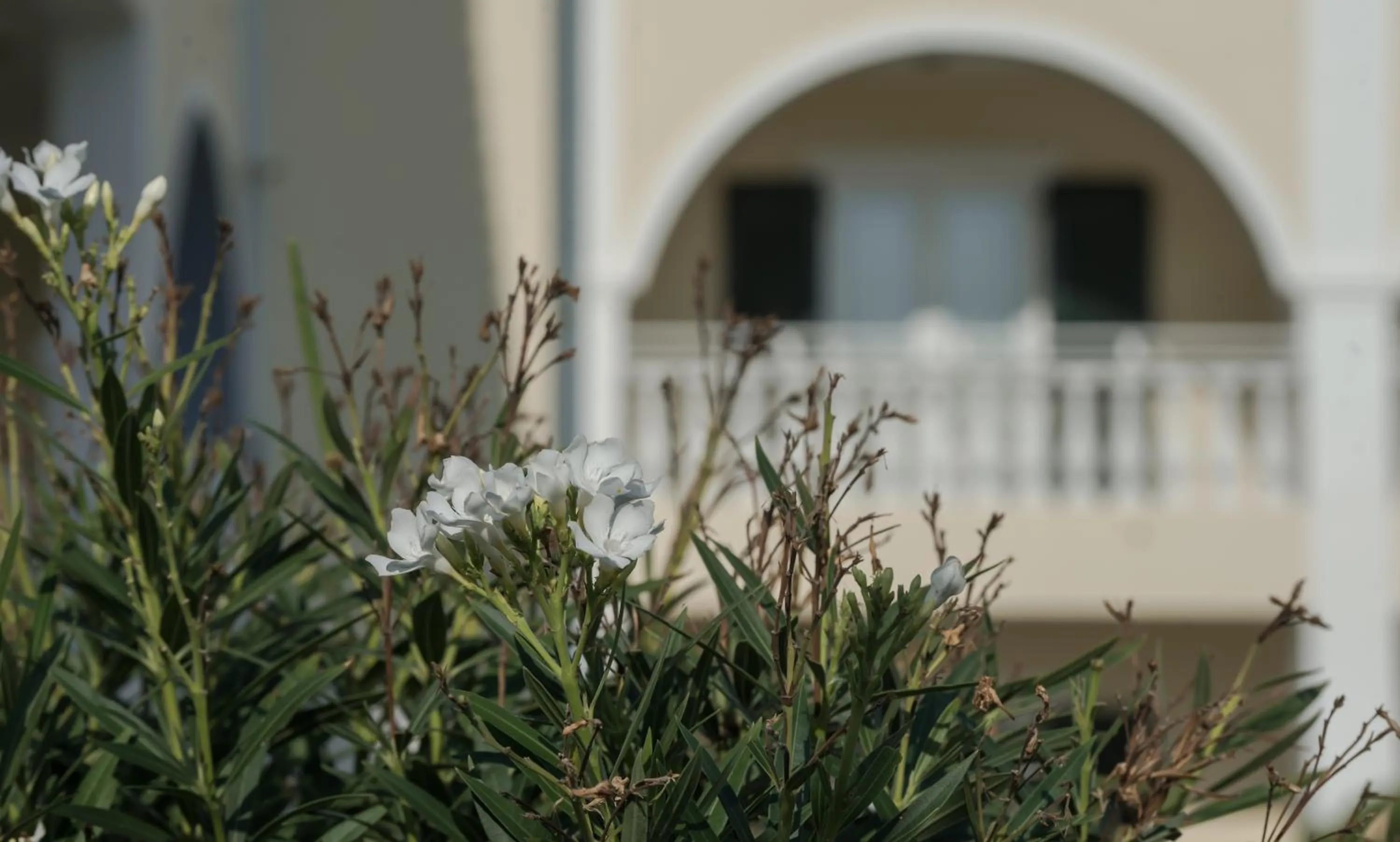 Maria Mare Apart-hotel