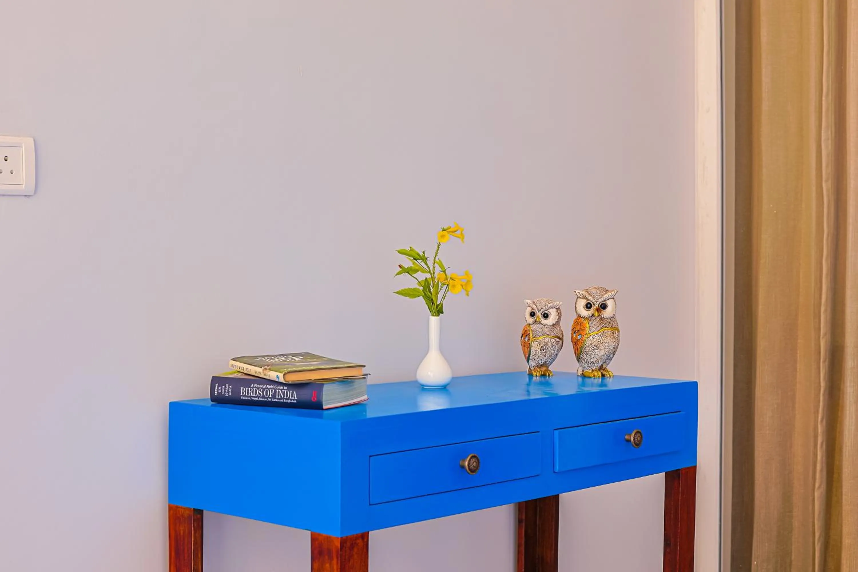 Decorative detail in Ananyamaya nature lodge