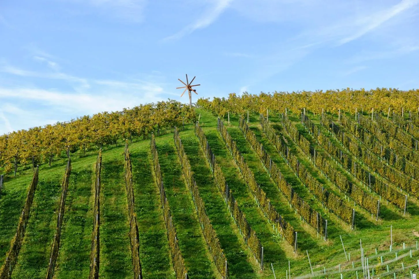 Natural landscape in Weingut Zirngast