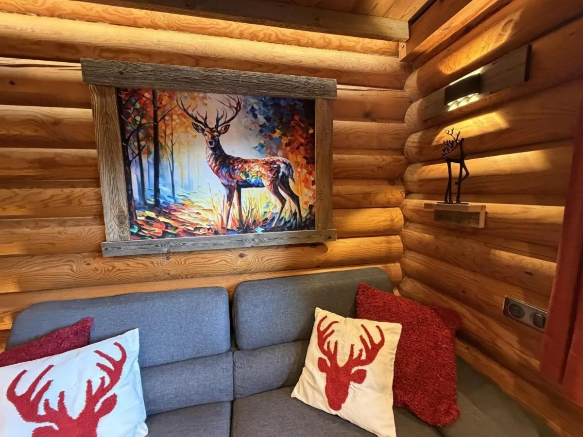 Communal lounge/ TV room in LE GRAND CERF Chalet en rondins avec SPA Jacuzzi