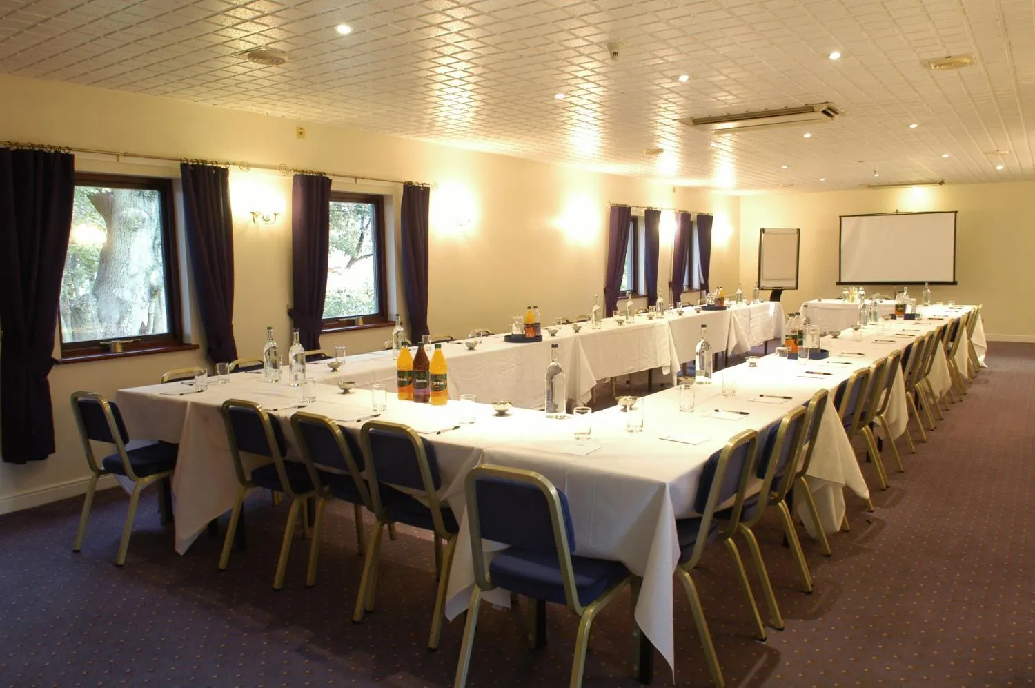 Business facilities in Healey House Hotel