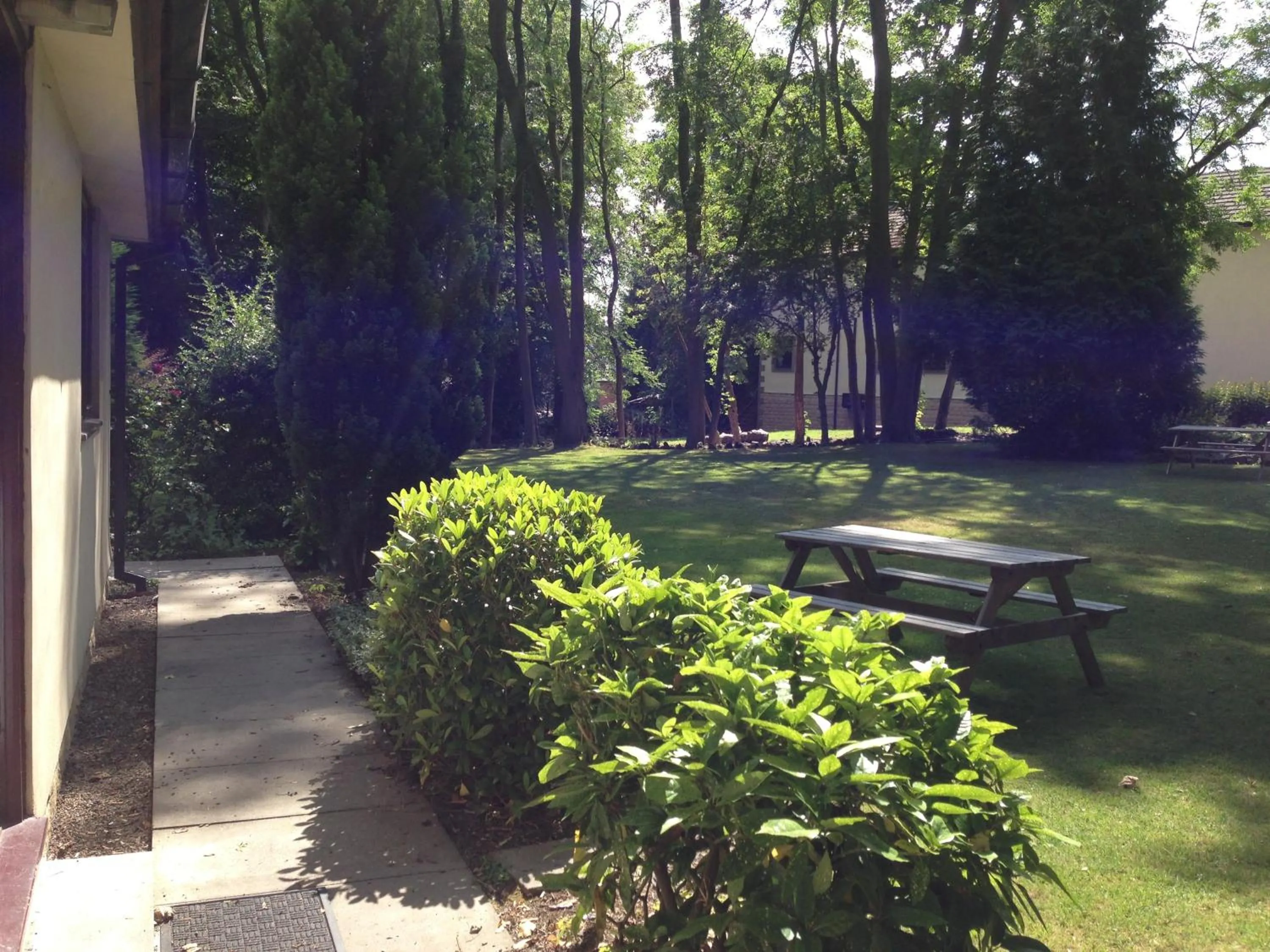 Garden in Healey House Hotel