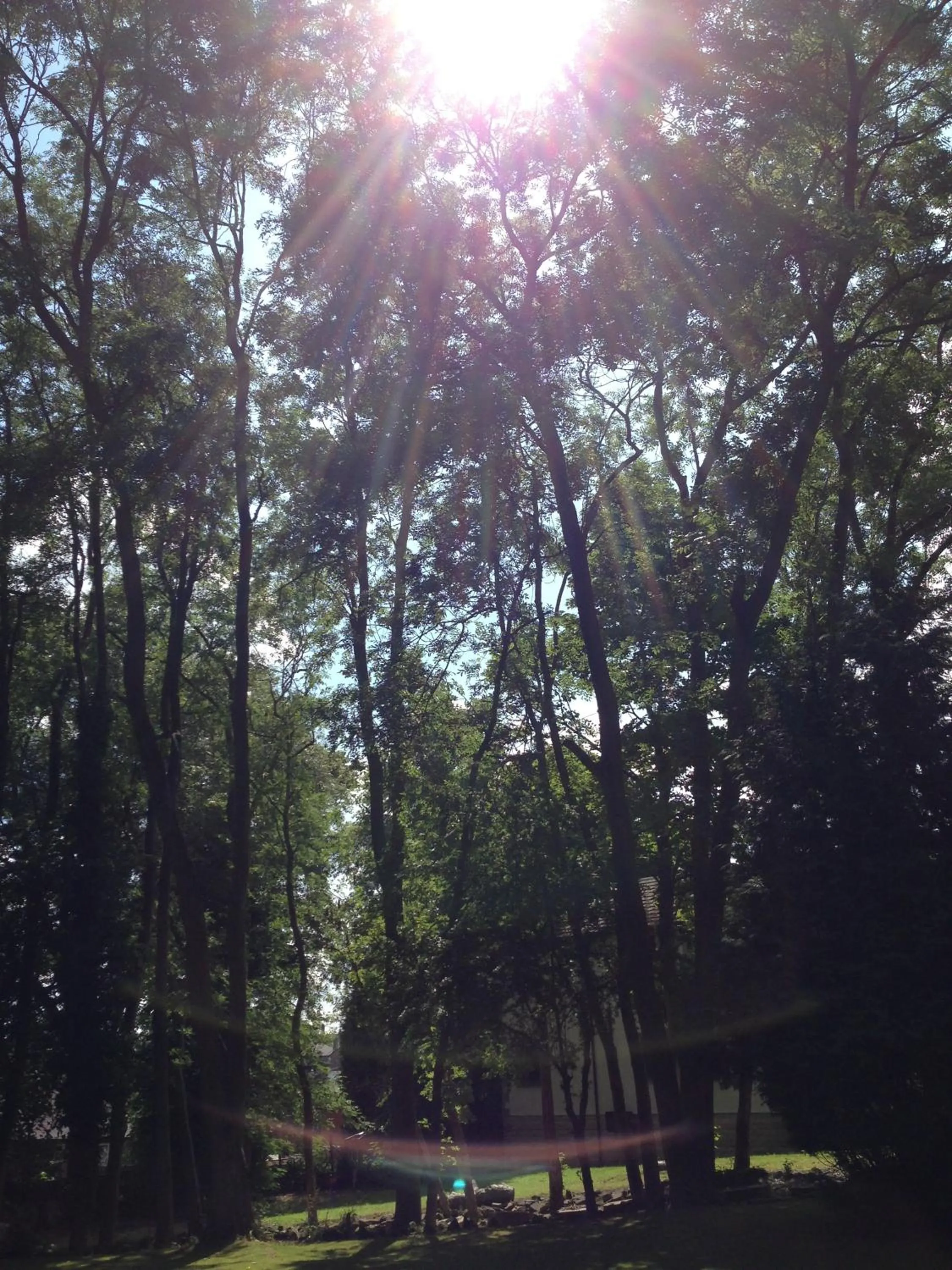 Day, Sunrise/Sunset in Healey House Hotel