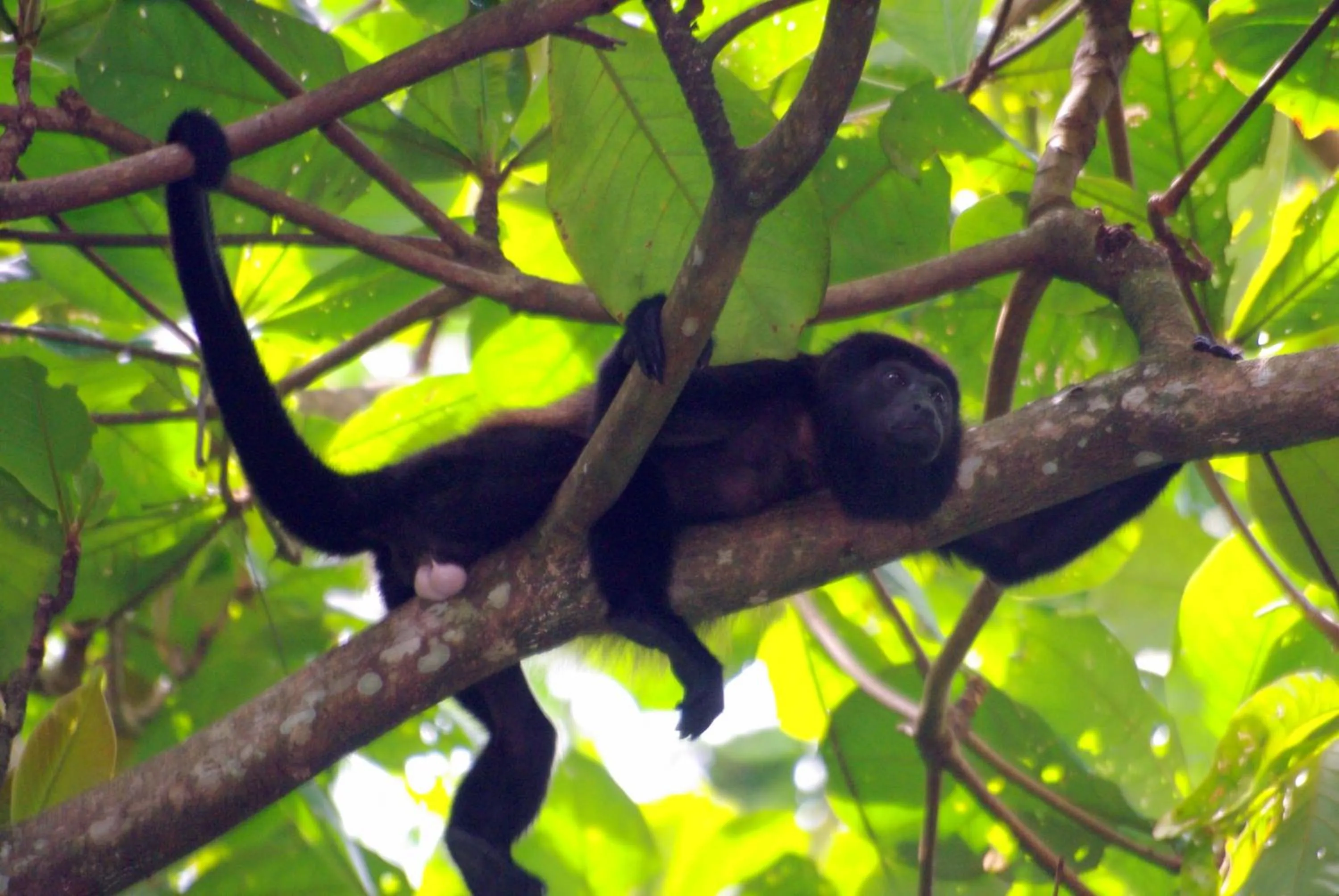 Activities in La Kukula Lodge