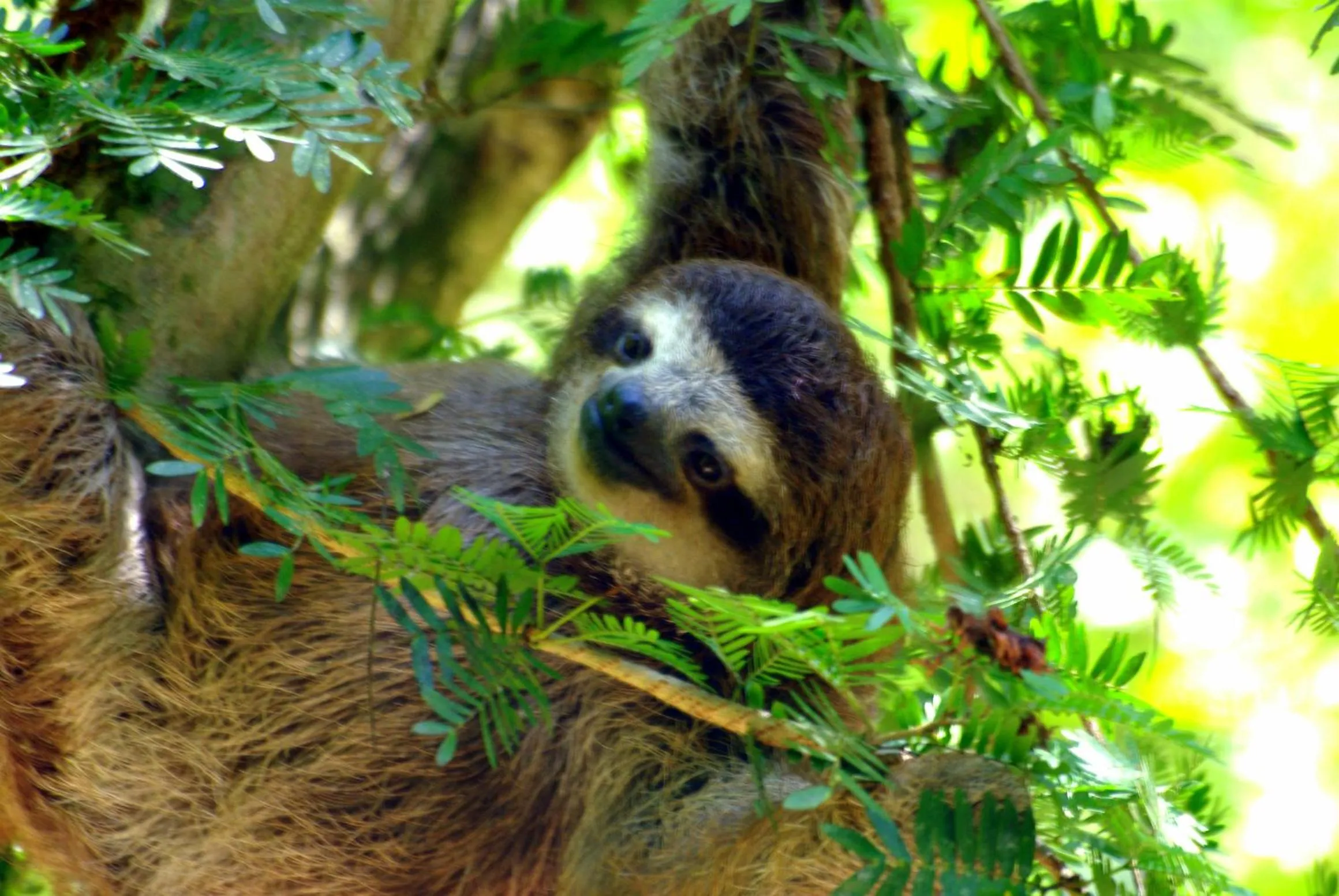 Activities in La Kukula Lodge