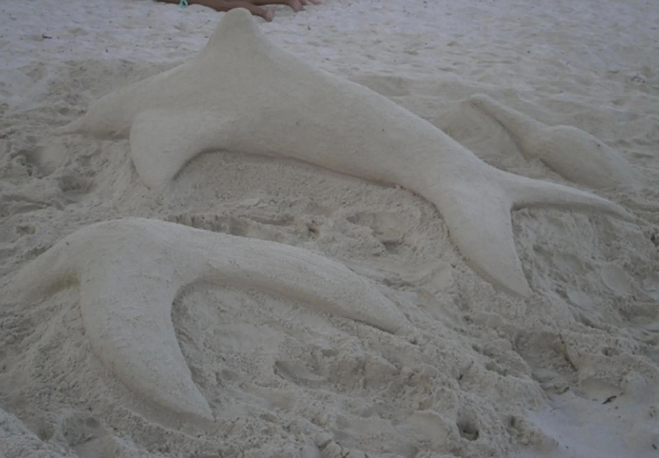 Off site in Aruba Cunucu Residence