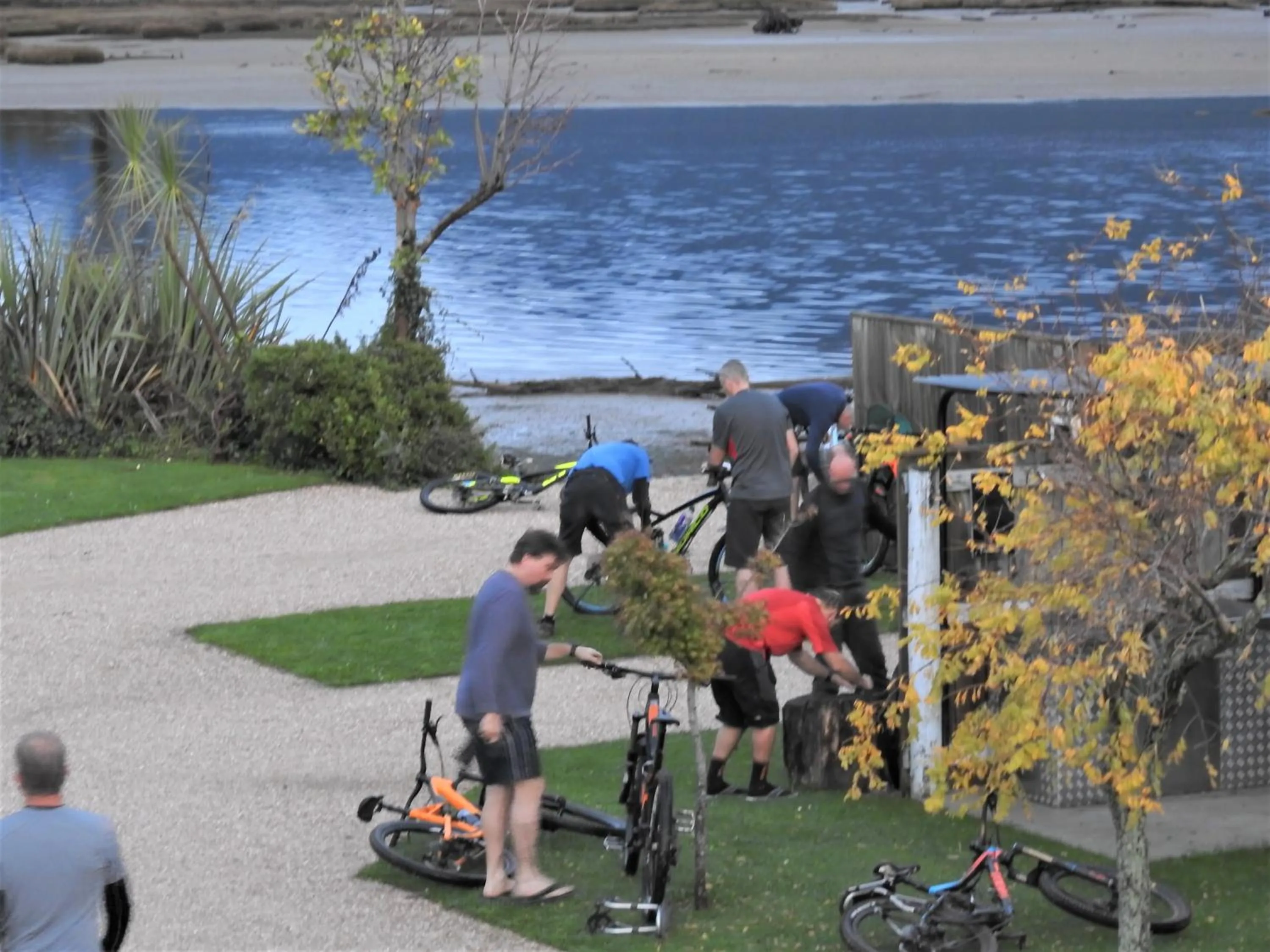 Garden in Collingwood Park Motel