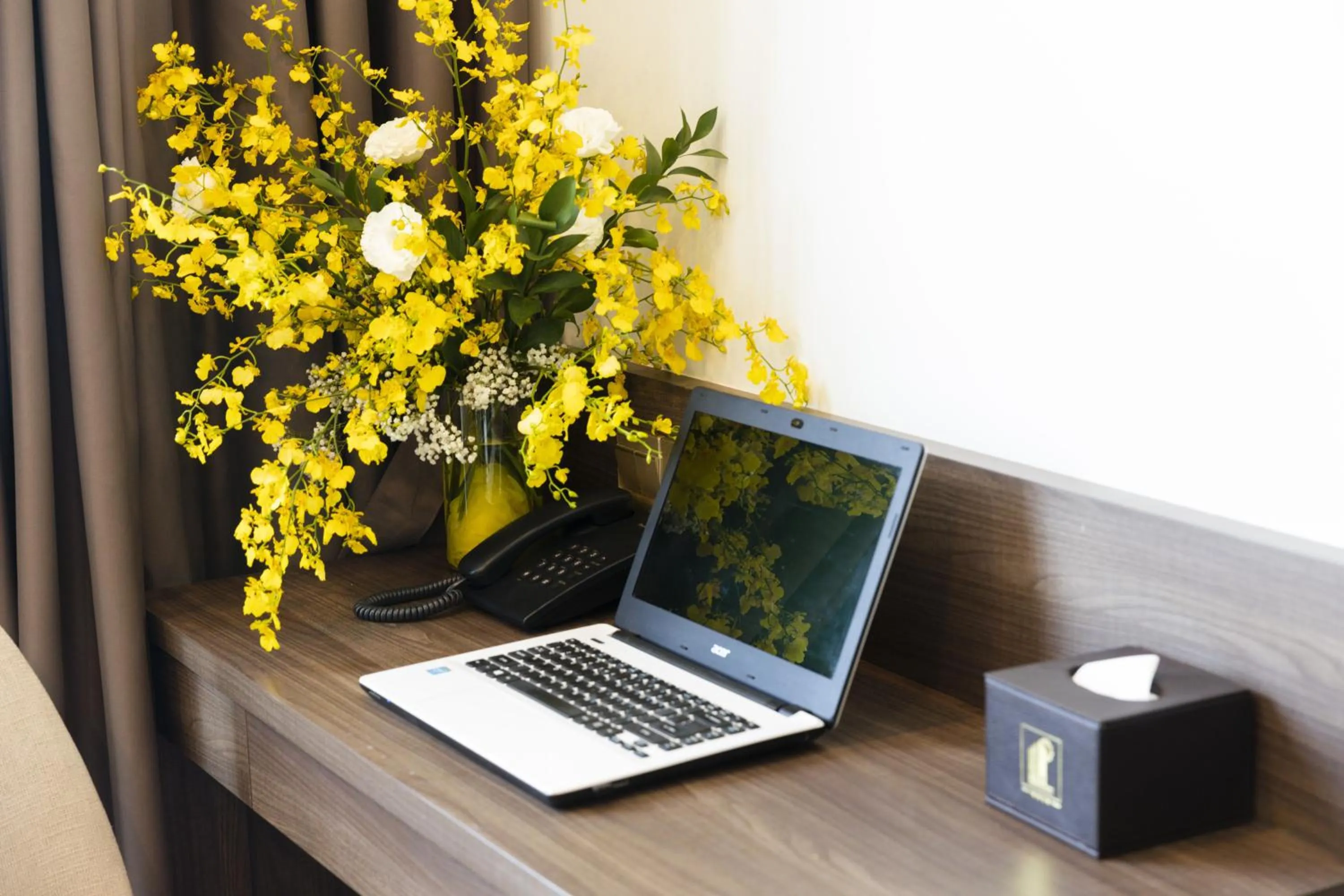 TV and multimedia in Daphovina Hotel