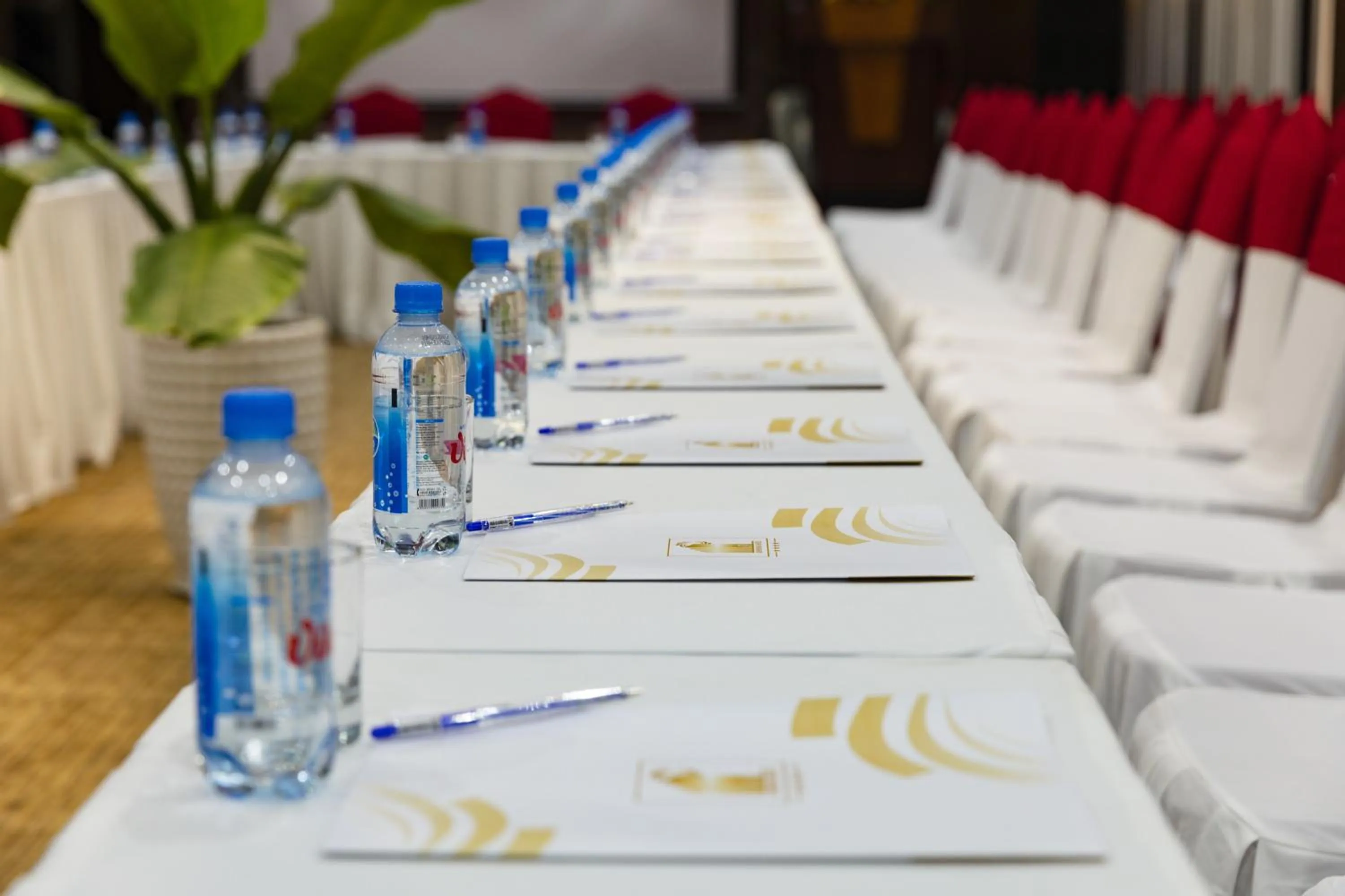 Meeting/conference room in Daphovina Hotel