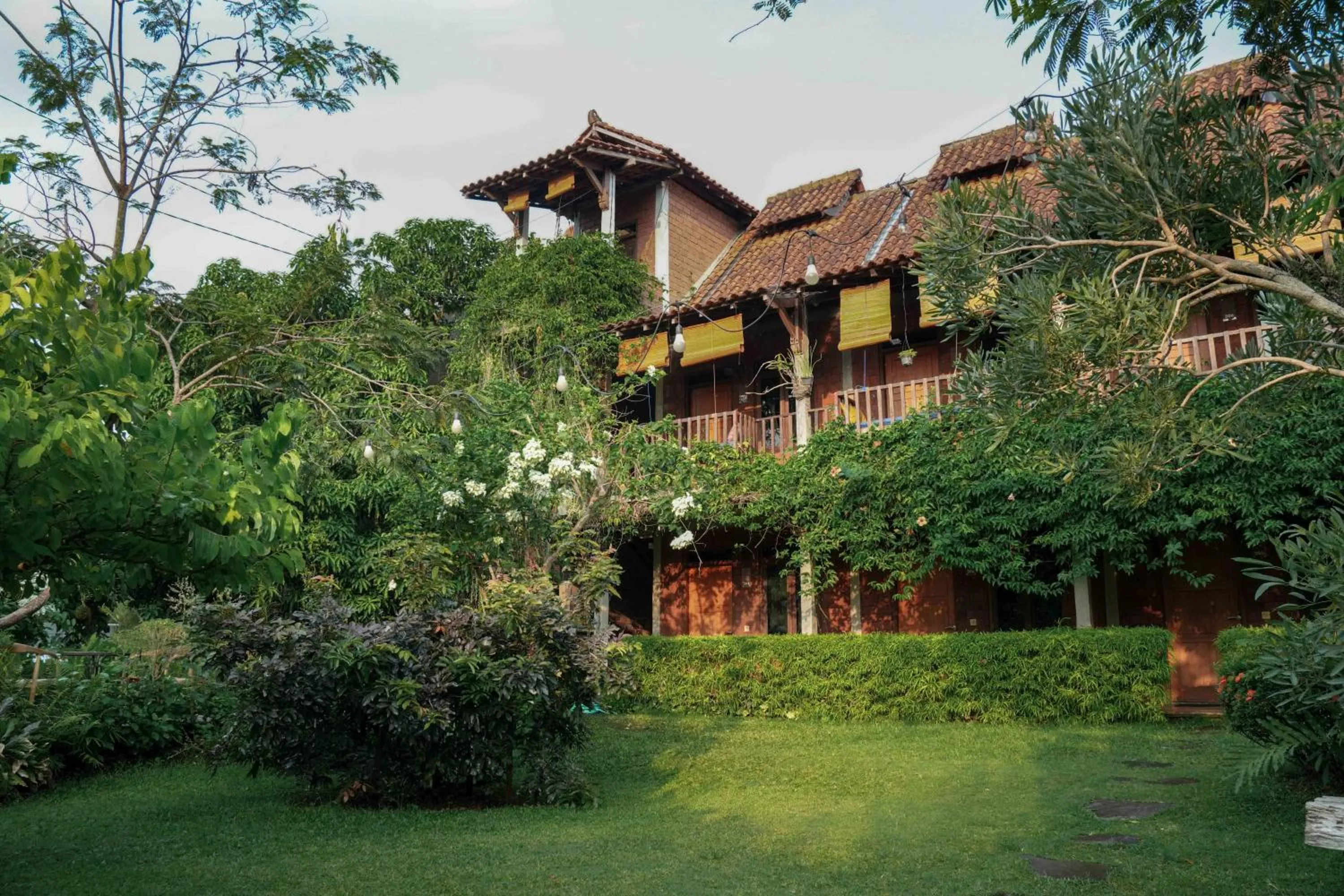 Natural landscape in Djajanti House